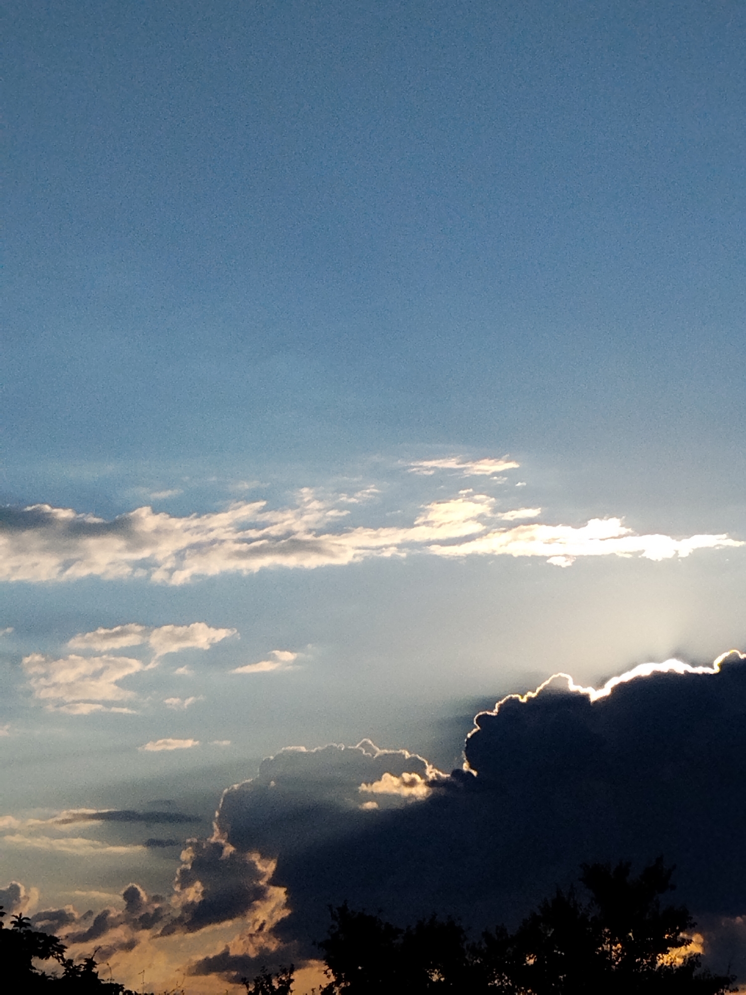 The image shows a sky with clouds and the silhouette of trees at the bottom. The sky is a gradient of blue, lighter at the horizon and darker towards the top. There are several layers of clouds. Some clouds are thin and wispy, catching the sunlight and appearing bright white and golden. Others are thicker and darker, with some illuminated edges where the sun is peeking through. The sun itself is not directly visible, but its rays are casting dramatic light and shadow. The overall scene suggests a sunset or sunrise. The bottom of the image shows the dark silhouettes of trees, indicating that the photograph was taken from ground level looking upwards. This scene is set in Ustyvytsia, Ukraine.