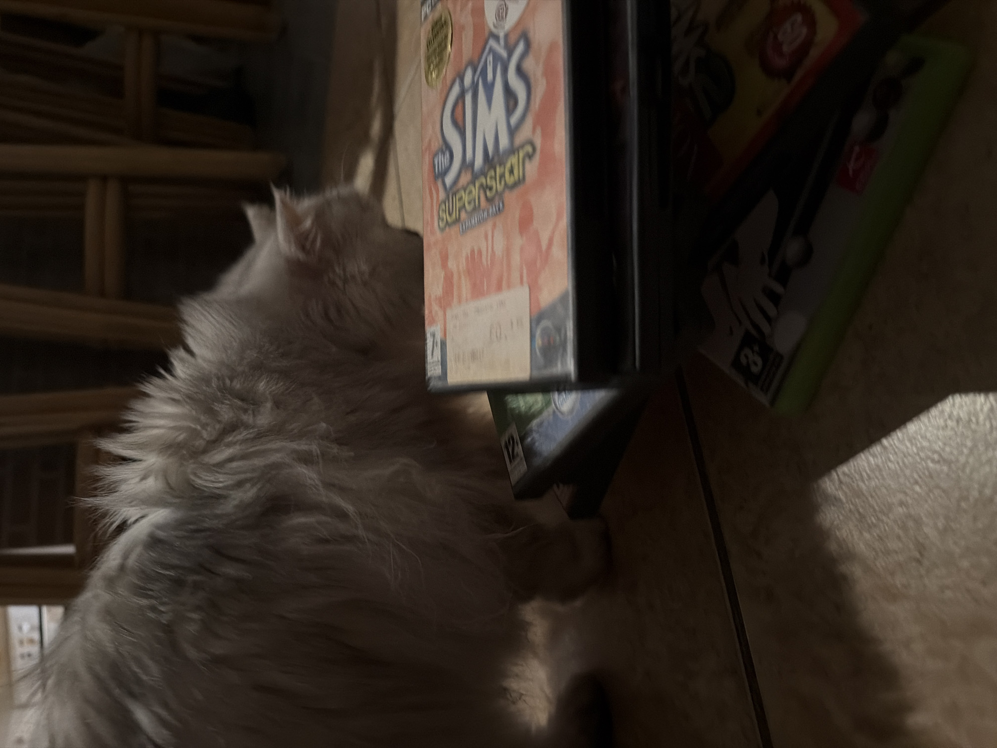 A fluffy, light-colored cat with its head down is near a stack of video game cases on a tiled floor. The cat's fur is long and appears to be raised in some areas. The video game cases are stacked, with one case prominently displaying the title "The Sims Superstar." The background is dimly lit and shows wooden furniture, possibly chairs. The scene appears to be indoors. The location of Sharm El Sheikh, Egypt, is not discernible from the visual information present in the image.
