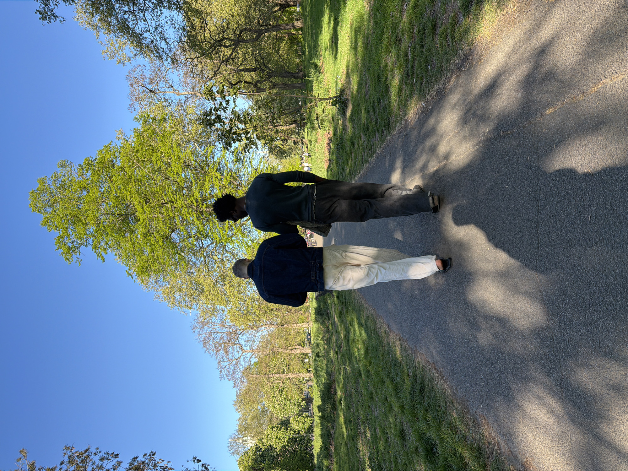 The image depicts a sunlit outdoor scene in what appears to be a park or green space. An asphalt path diagonally traverses the image, with lush green grass and numerous trees lining its sides. The trees, adorned with vibrant green leaves, suggest a spring or early summer setting. Above the foliage, a clear, bright blue sky is visible.
Two individuals are walking away from the viewer on the path. The person closer to the foreground is wearing a dark blue denim jacket, light-colored trousers (possibly white or cream), and dark sandals. The person slightly ahead and to the left is dressed in a dark long-sleeved top, dark trousers, and light-colored shoes or sandals. Their dark, curly hair is visible.
Bright sunlight is evident, casting prominent, dappled shadows from the trees and the people onto the asphalt path and grass, indicating it is daytime, likely morning or late afternoon. There is no visible text in the image, and no specific emotions can be discerned from the subjects seen from behind.