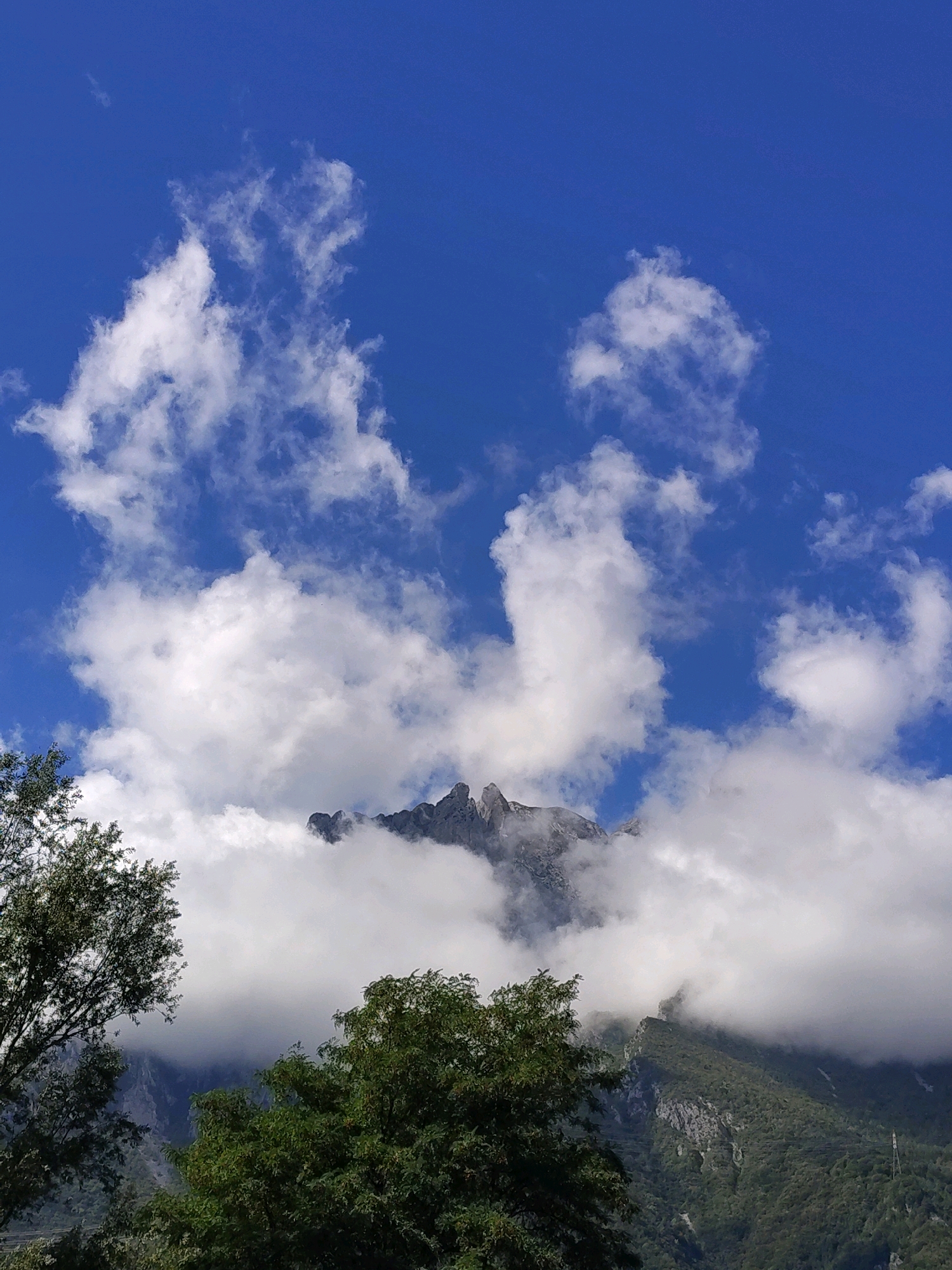 The image is a vertical, wide-angle shot of a mountain range under a bright blue sky with scattered white clouds. In the foreground, the tops of two trees are visible, one on the left and one on the right. The trees are lush green and fill the bottom of the frame. Behind the trees, the mountain range rises, partially obscured by fluffy white clouds that seem to be clinging to the peaks. The mountain peaks themselves are rugged and rocky, with visible jagged edges. The sky is a vibrant, clear blue, with the white clouds contrasting sharply against it. The overall impression is one of natural beauty and grandeur, with the mountains shrouded in mist and clouds.
