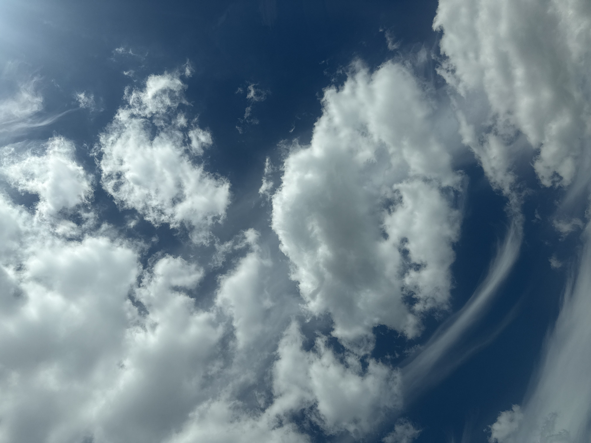 The image is a close-up, low-angle shot of a vibrant blue sky filled with scattered, puffy white clouds. Some of the clouds are dense and voluminous, while others are wispy and translucent. There are streaks of thinner, feathery clouds towards the top right of the frame, suggesting wind. The lighting indicates it is daytime, with the sun likely positioned out of frame, casting bright illumination on the cloud formations. The scene is devoid of any man-made structures, people, or discernible landmarks, making it impossible to determine a specific location within Razeni, Moldova, or any other city. The focus is entirely on the natural beauty of the sky and its cloud cover.