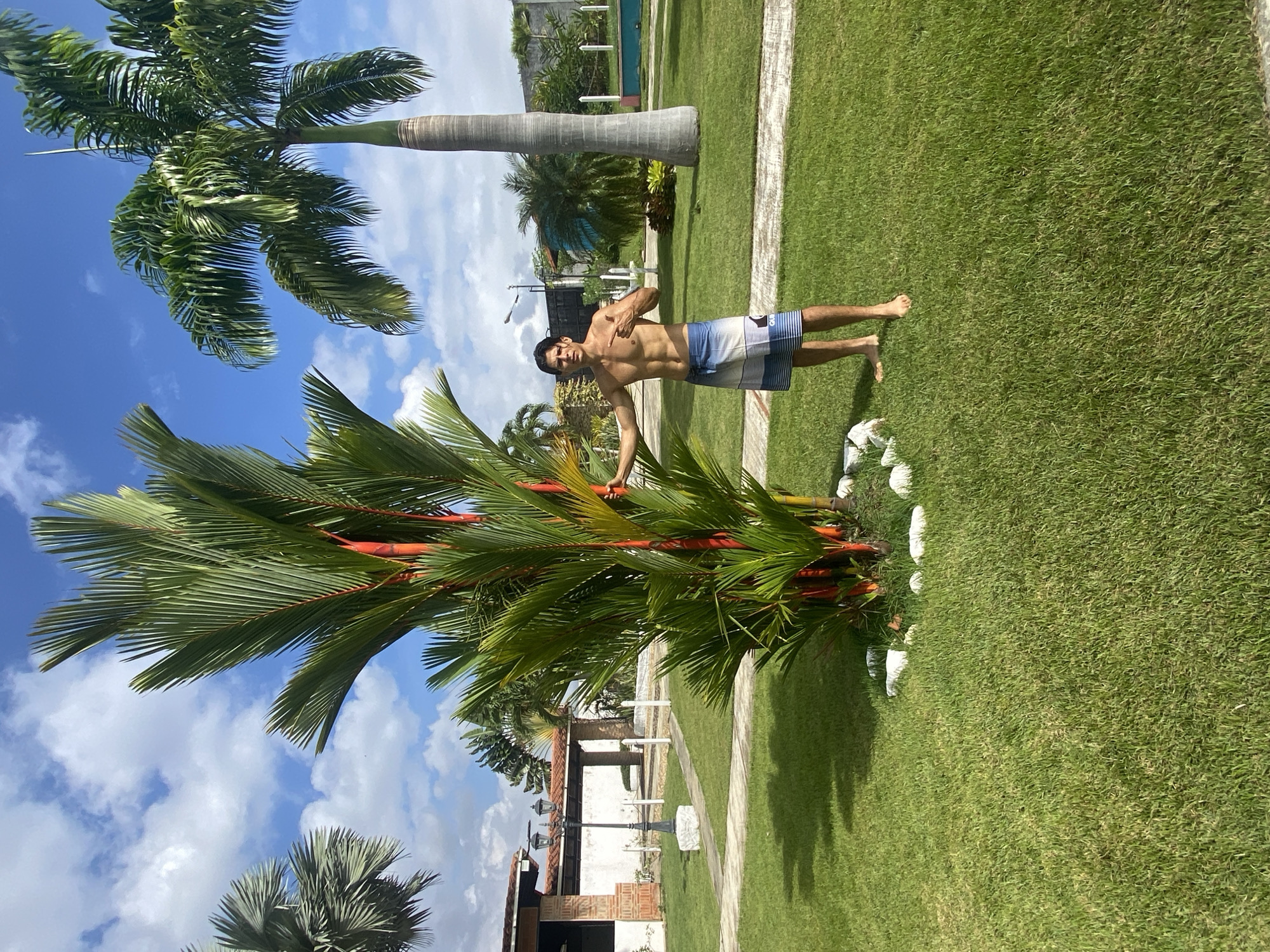 The image captures a sunny outdoor scene in Vallecito, Venezuela, featuring a man posing amidst lush greenery. The man, shirtless and barefoot, wears blue and white striped swim trunks with a logo (possibly Adidas) on the left leg. He stands on a neatly mown green lawn, pointing his right index finger upwards, with his left hand resting near a cluster of palm trees.
The scene is dominated by various palm trees; prominent are a tall, slender palm with a gray trunk, and a smaller grouping of palm trees characterized by vibrant reddish-orange stems and green fronds. The sky is a clear blue with scattered white cumulus clouds, indicating bright daylight.
A light-colored pathway winds through the grass, leading towards the background where several buildings are visible. One structure has a distinctive red-tiled roof, while another appears to be of exposed brick or concrete. A black, ornate lamppost stands between the pathway and the buildings. At the base of the reddish-stemmed palm trees, several white, rounded decorative elements are arranged on the grass. The overall atmosphere suggests a warm, tropical environment, likely a well-maintained garden or resort area. The man appears confident as he poses for the camera.