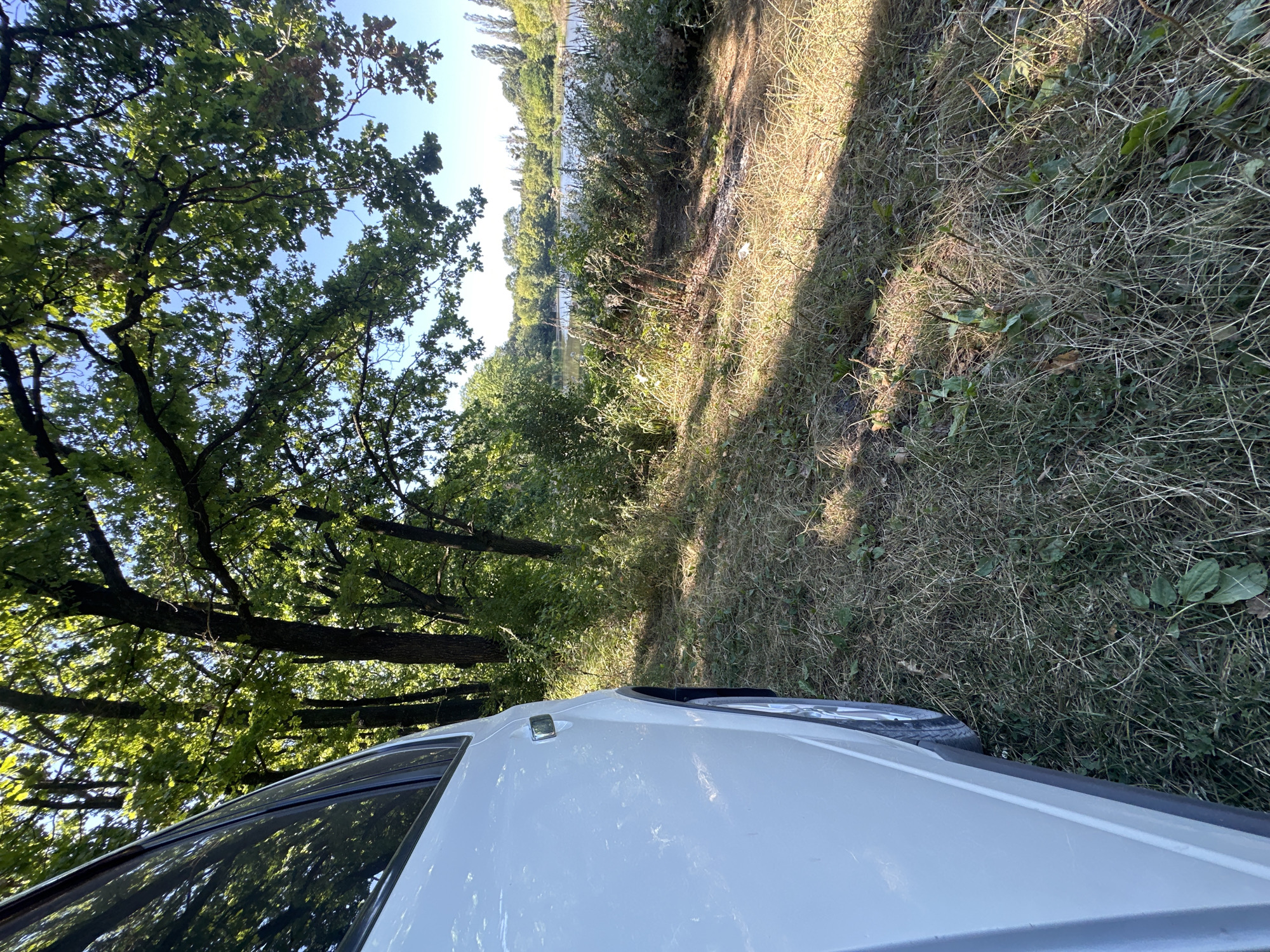 The image shows the side of a white vehicle parked on a grassy area near a body of water. Trees with green foliage and a clear blue sky are visible in the background, suggesting a sunny day. The ground is covered with dry grass and some scattered green plants. A body of water, likely a river or lake, is in the distance, bordered by lush green vegetation and more trees on the opposite bank. The location is specified as Makiv, Ukraine.