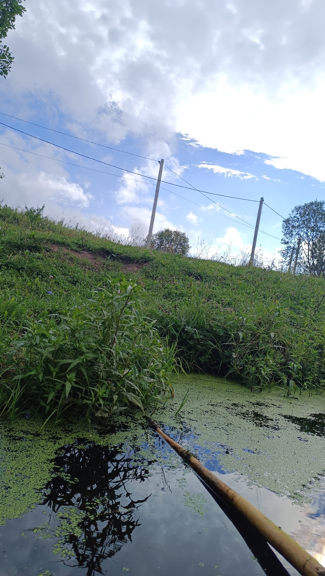The image depicts a body of dark water covered in a thick layer of green duckweed. A wooden pole extends into the water from the right side of the frame, angled diagonally. The bank on the left is covered in lush green grass and vegetation. In the background, there is a gentle slope with more grass and some trees. Two utility poles with power lines are visible against a sky with scattered white and grey clouds. The scene appears to be a natural or semi-natural environment, possibly a pond or slow-moving stream, with elements of human infrastructure in the background. The specific location in the city of Karsha, Russia, is not discernible from the visual information provided in the image.