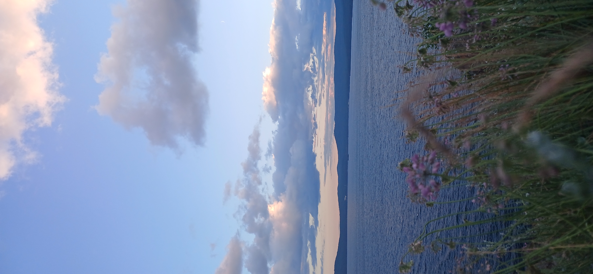 The image depicts a serene natural landscape at dusk, possibly near Turgoyak, Russia. The sky is a soft blue, transitioning to hues of pink and orange near the horizon, with scattered white and grey clouds. A faint crescent moon is visible in the upper right portion of the sky. Below the sky, a vast expanse of deep blue water stretches across the frame, appearing calm with subtle ripples on its surface. In the distance, a dark, undulating landmass, likely a mountain range or forested hills, forms the horizon line. In the foreground, out of focus, is a cluster of wild grasses and small purple flowers, adding a touch of delicate color and texture to the scene. The overall impression is one of tranquility and natural beauty.