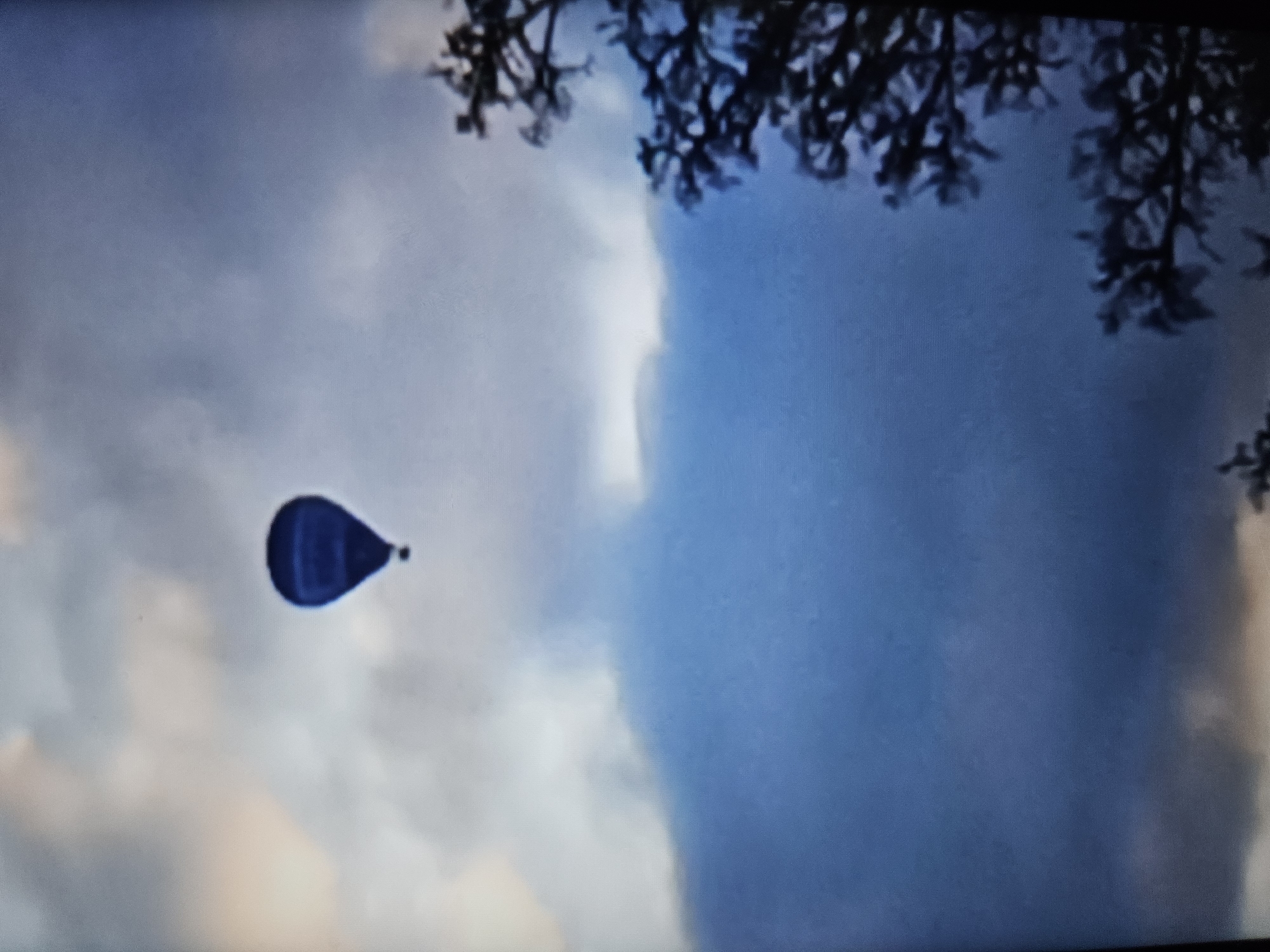 The image shows a dark blue hot air balloon in the sky. The balloon is positioned towards the left side of the frame and is above a large, dark cloud formation. On the right side of the image, there is a silhouette of tree branches against the cloudy sky. The lighting suggests it may be dusk or an overcast day. There is no discernible location in the city of Amarillo, United States of America within this image.