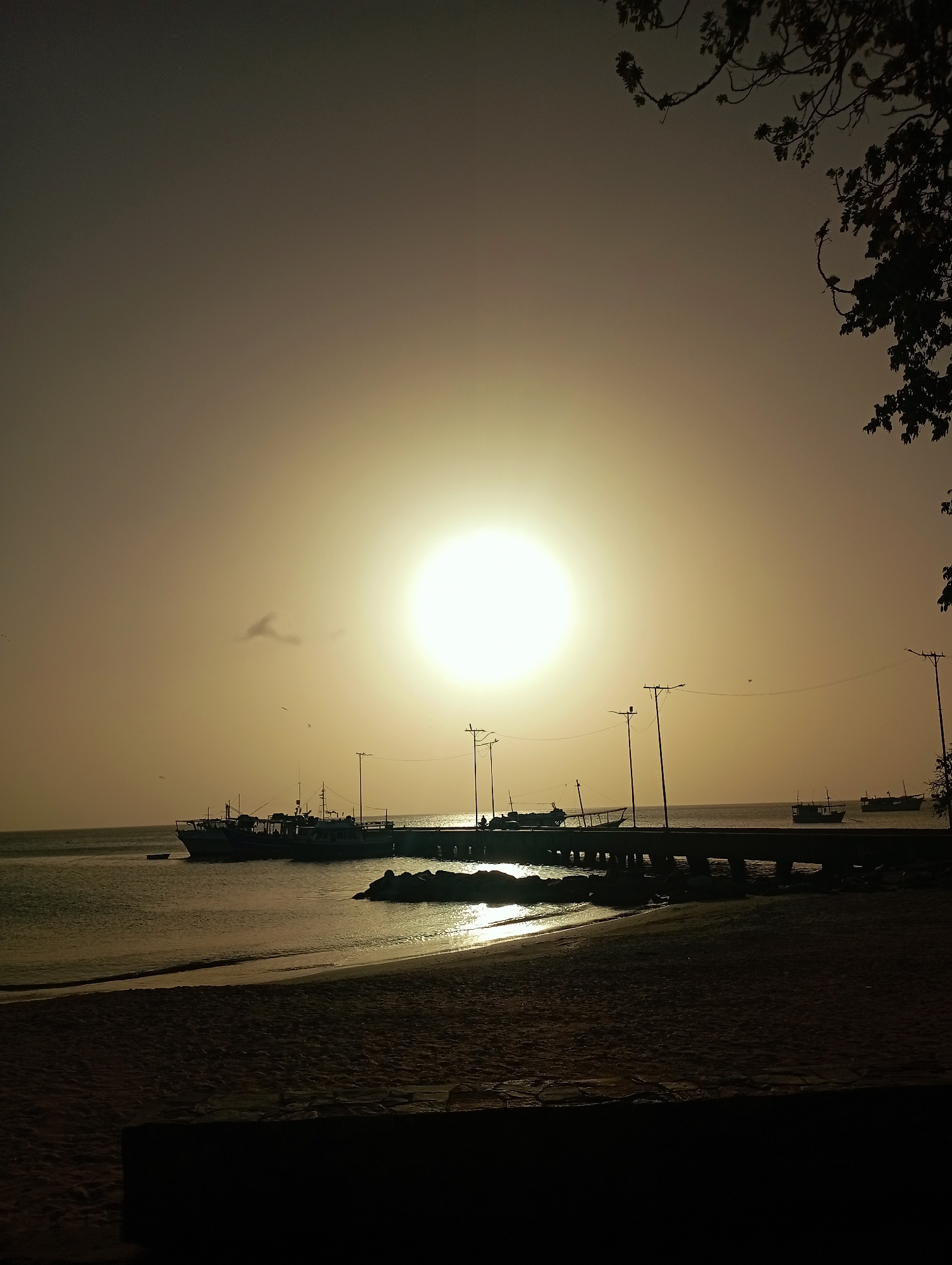 The image captures a serene coastal scene during either sunrise or sunset in Juan Griego, Venezuela. The bright, circular sun, centered in the upper half of the frame, dominates the sky, casting a warm, golden-yellow light across the hazy atmosphere and creating a prominent, shimmering reflection path on the water.
In the midground, a dark pier extends into the calm bay. Several boats, likely fishing vessels, are silhouetted against the bright sky; some are docked along the pier, while others appear anchored further out. Numerous light poles line the pier, also appearing as dark silhouettes. Small, indistinct figures may be discernible on the pier. Rocky structures are visible near the pier's edge.
The foreground features a dark, sandy beach gently sloping towards the water. Overhanging, dark, leafy tree branches frame the upper right corner of the image. A few small birds are scattered across the distant sky. The strong backlighting creates a dramatic silhouette effect for all objects against the glowing sky and water. No visible text is present in the image. The overall mood is peaceful and tranquil, characteristic of a tropical coastal evening or morning.