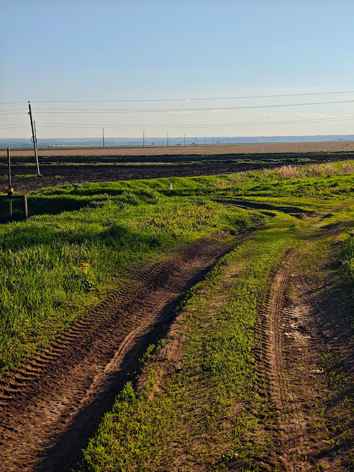 The image depicts a rural scene in Yakhroma, Russia. A dirt road marked with tire tracks cuts through a field of green grass, leading towards a tilled agricultural field in the background. Beyond the field, a hazy horizon is visible beneath a clear blue sky. Power lines stretch across the horizon, supported by wooden poles. An old, rusty metal structure is visible on the left side of the road.