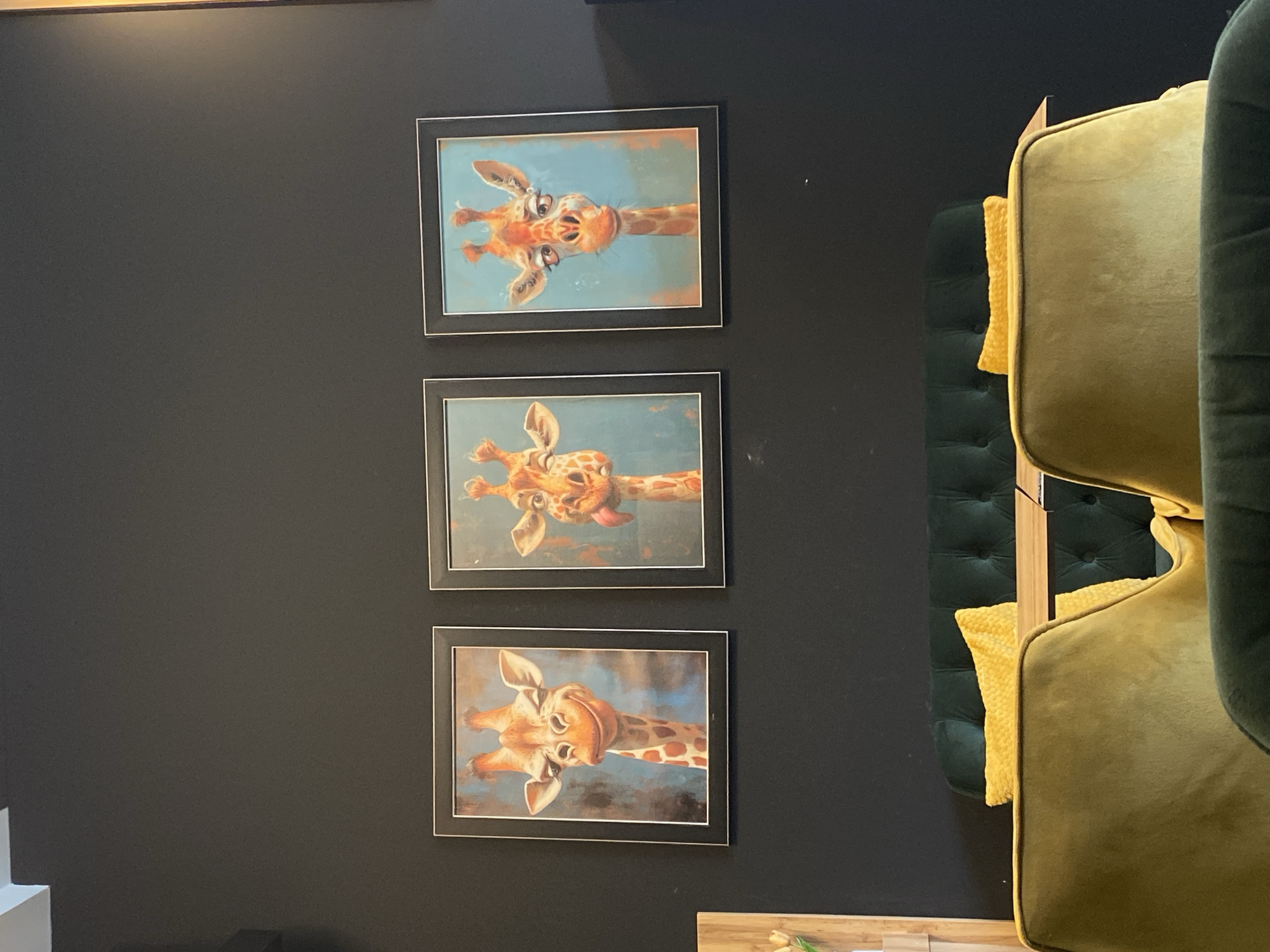 A view of a dark gray wall with three framed pictures of giraffes, stacked vertically. The giraffes in the pictures appear to be looking down at the viewer. To the right of the wall is a portion of a green velvet chair, with a yellow throw pillow on it. The location is Unknown, Unknown.