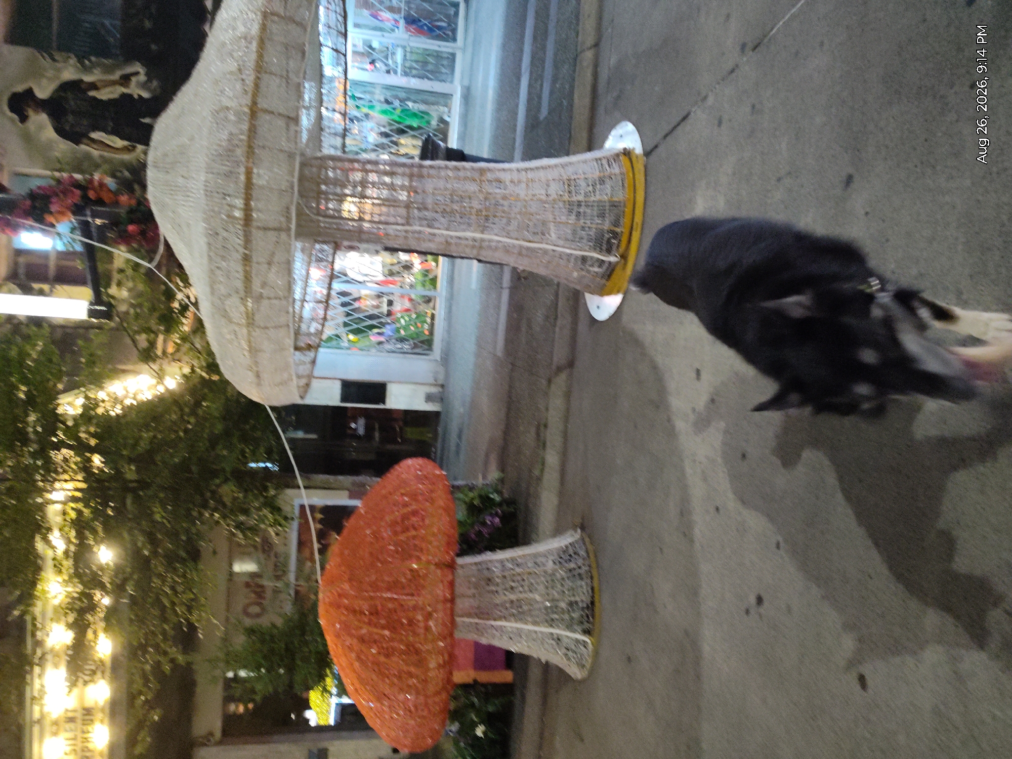 A black and tan dog walks on a sidewalk at night, in front of two decorative mushroom-shaped structures and a building. The larger mushroom on the right is white and appears to be made of woven material. The smaller mushroom on the left is orange and appears to be covered in lights. In the background, the building has windows displaying merchandise, and there is a silhouette of a person in military attire against a dark background. Overhead, a sign with illuminated text is visible, reading "SILENT ORPHEUM". The scene suggests an urban environment, possibly a commercial or entertainment district. A date and time stamp in the lower right corner reads "Aug 26, 2026, 9:14 PM".