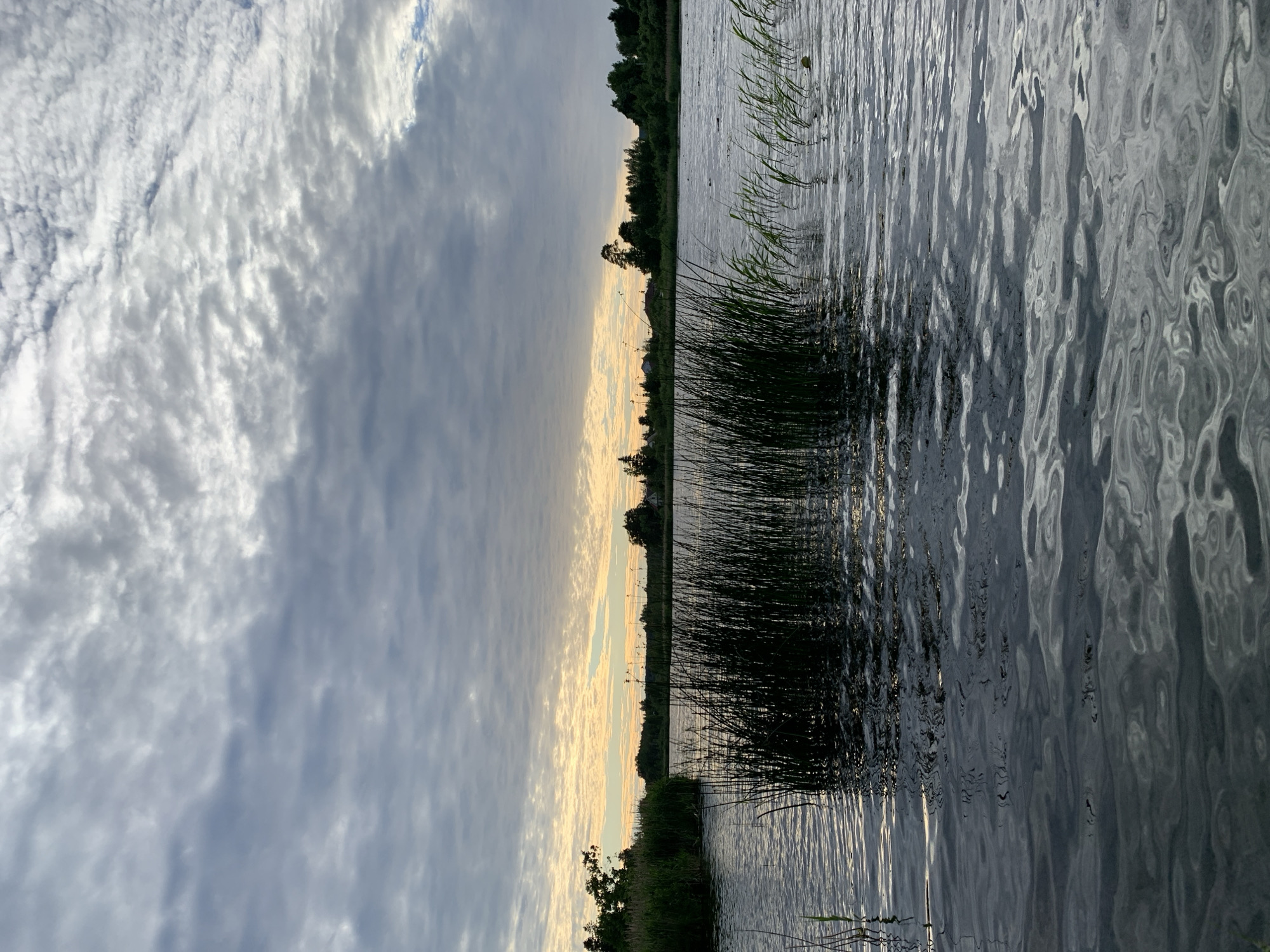 The image depicts a serene lake scene with a cloudy sky and reeds in the foreground. The water is calm, with ripples reflecting the overcast sky. Tall, dark green reeds dominate the middle ground, emerging from the water in dense clusters. The background features a treeline with scattered houses and a tree on the horizon. The sky is filled with a mix of dark gray and lighter gray clouds, with streaks of pale orange and yellow visible near the horizon, suggesting either sunrise or sunset. The overall impression is one of natural tranquility. This scene is located in the city of Chernovo, Russia.
