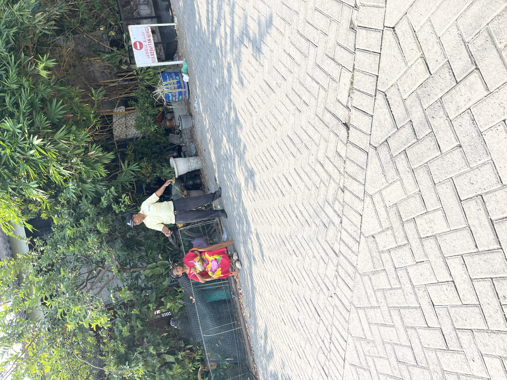 In Kalisampurno, Indonesia, a woman in a vibrant red and yellow dress sits on a chair outdoors, holding a bowl of food. Nearby, a man in a yellow polo shirt and dark pants stands, appearing to interact with her. The scene unfolds on a paved walkway with a herringbone brick pattern. Behind them, lush green trees and bamboo foliage form a dense backdrop. To the right, a white sign with red lettering, partially obscured, is posted on a stand. Various objects, including potted plants and trash bins, are visible in the background, suggesting a communal outdoor space. The lighting indicates it is daytime, with shadows cast by the foliage onto the ground.