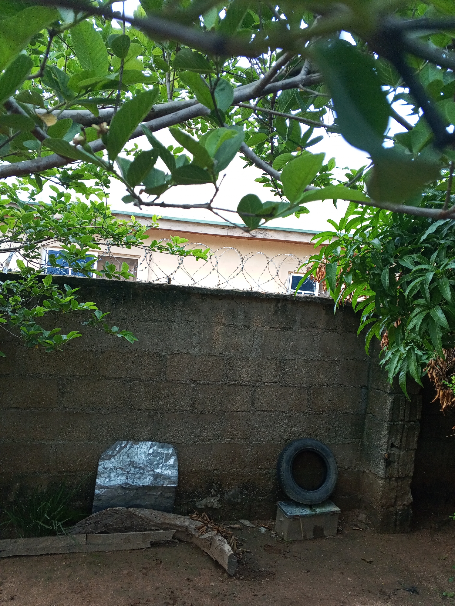 This is an outdoor scene taken from within dense foliage looking towards a walled enclosure. The foliage in the foreground consists of branches and green leaves, suggesting a tree or shrub. Behind the foliage, a weathered, grey brick wall runs horizontally across the midground. On top of the wall, barbed wire is installed. Beyond the wall, a light-colored building with windows is visible. The ground in the foreground is dirt and appears uneven, with some scattered debris including pieces of wood. To the left of the wall, a large, flat, metallic object is propped against it. To the right of the wall, a black tire rests on top of a rectangular object. The overall impression is of a backyard or undeveloped area, possibly in Howayi, Nigeria, given the vegetation and building style.