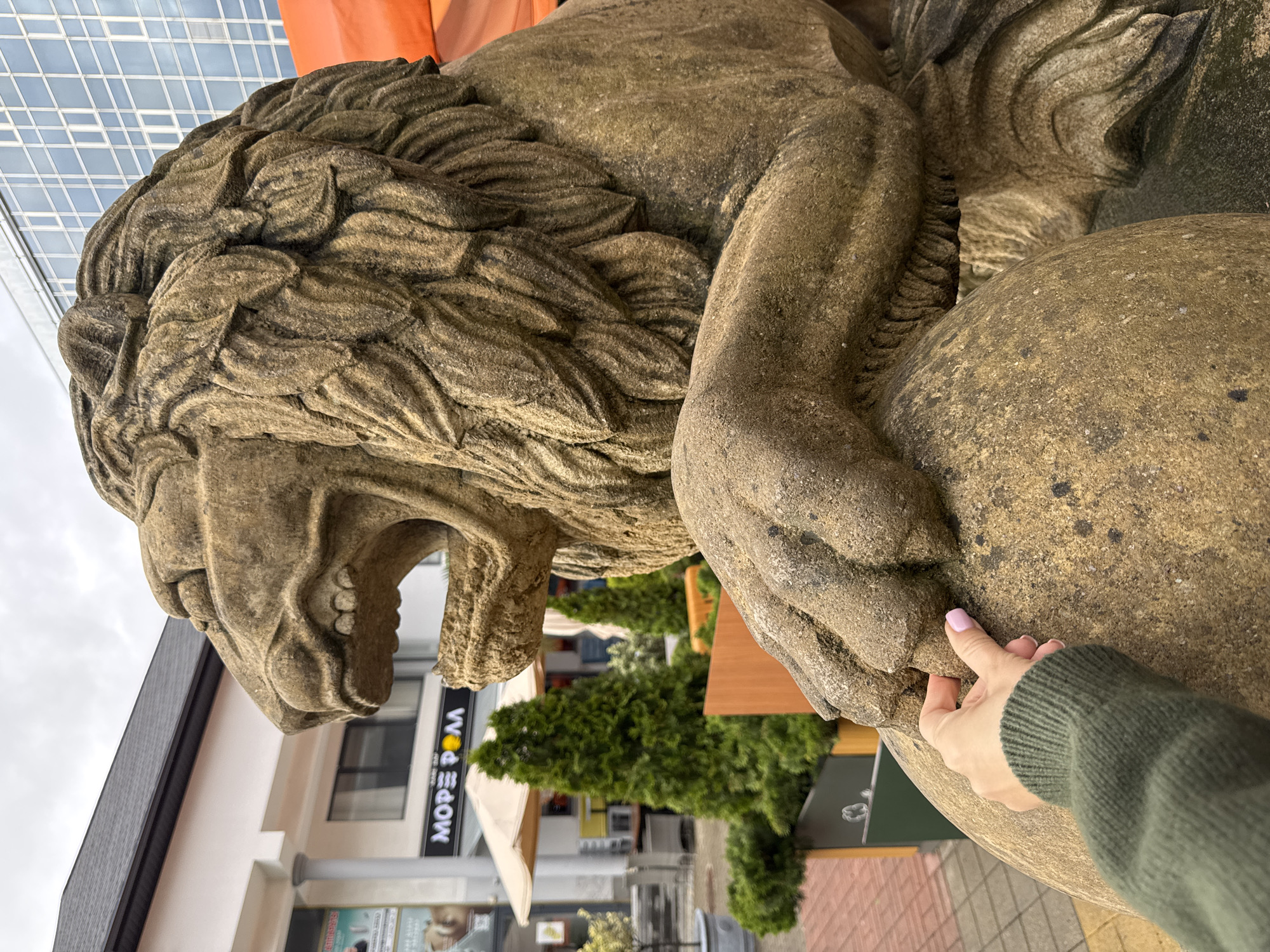 A low-angle, medium shot depicts a weathered, stone lion statue, appearing to roar with an open mouth revealing teeth. The statue has a prominent mane and rests its paws upon a large, spherical object. A light-skinned hand with a visible fingernail painted pink is touching the statue's paw. In the background, slightly blurred, are elements of a city street, including building facades, trees, and signage. A sign with the Cyrillic letters "MOPE MALL" is visible. Based on the signage, the location is Sochi, Russia.