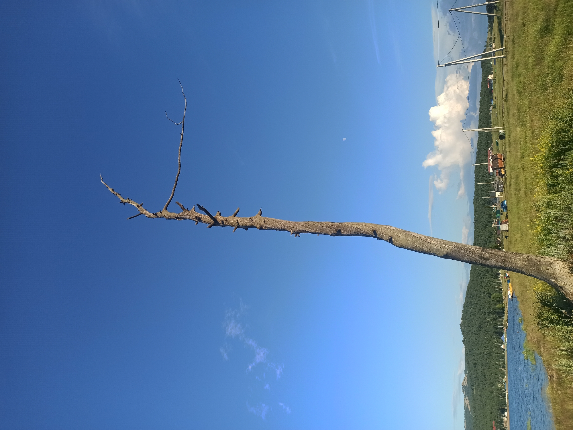 This media file captures a rural landscape in Isyanovo, Russia, bathed in the clear blue sky of a sunny day, likely mid-morning or afternoon. The primary subject is a stark, bare tree branch extending diagonally across the frame against the vibrant sky. It appears to be a dead or deciduous tree, with its rough texture and prominent knags adding a touch of natural sculpture. Tiny, dark specks, possibly birds, are perched on the branch.

In the background, the scene unfolds horizontally. A vast expanse of green grass and rolling hills dominates the right side of the image. A body of water, likely a river or lake, reflects the sky. Scattered along the distant treeline and fields are hints of human presence: a few small buildings, possibly houses or farm structures, and some utility poles with wires, suggesting a developed, albeit rural, area. A cluster of white tents and some yellow objects, possibly boats or kayaks, are visible near the water's edge. A bright white cloud, a solitary celestial body, floats in the sky above the landscape. A faint, crescent moon is also visible in the upper right quadrant of the sky. The overall mood is serene and tranquil, highlighting the beauty of the natural environment with a subtle touch of human settlement. There is no visible text in the media file.