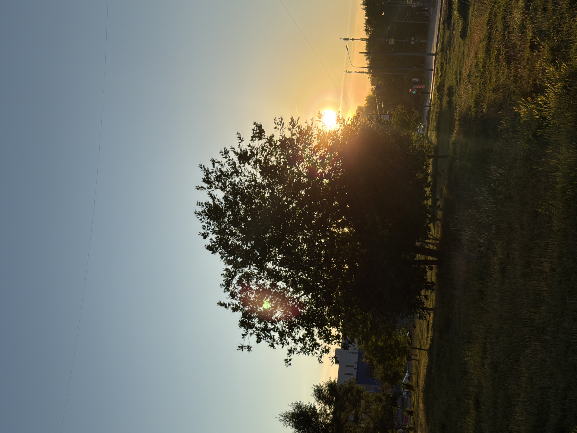 A photograph captures a tree silhouetted against a setting sun in an urban park. The sky is a gradient of pale blue to a warm yellow, indicative of sunset. The sun, partially obscured by the leaves of a large tree in the foreground, casts a bright, lens-flare effect. Beyond the park, buildings and streetlights are visible, suggesting the location is within a city. A road with a few cars and a single person walking is present on the right side of the image, with trees and lampposts lining it. The park area in the foreground is covered in grass, with some areas appearing dry and illuminated by the low sun. A thin, dark line, possibly a power line, stretches horizontally across the upper portion of the sky.