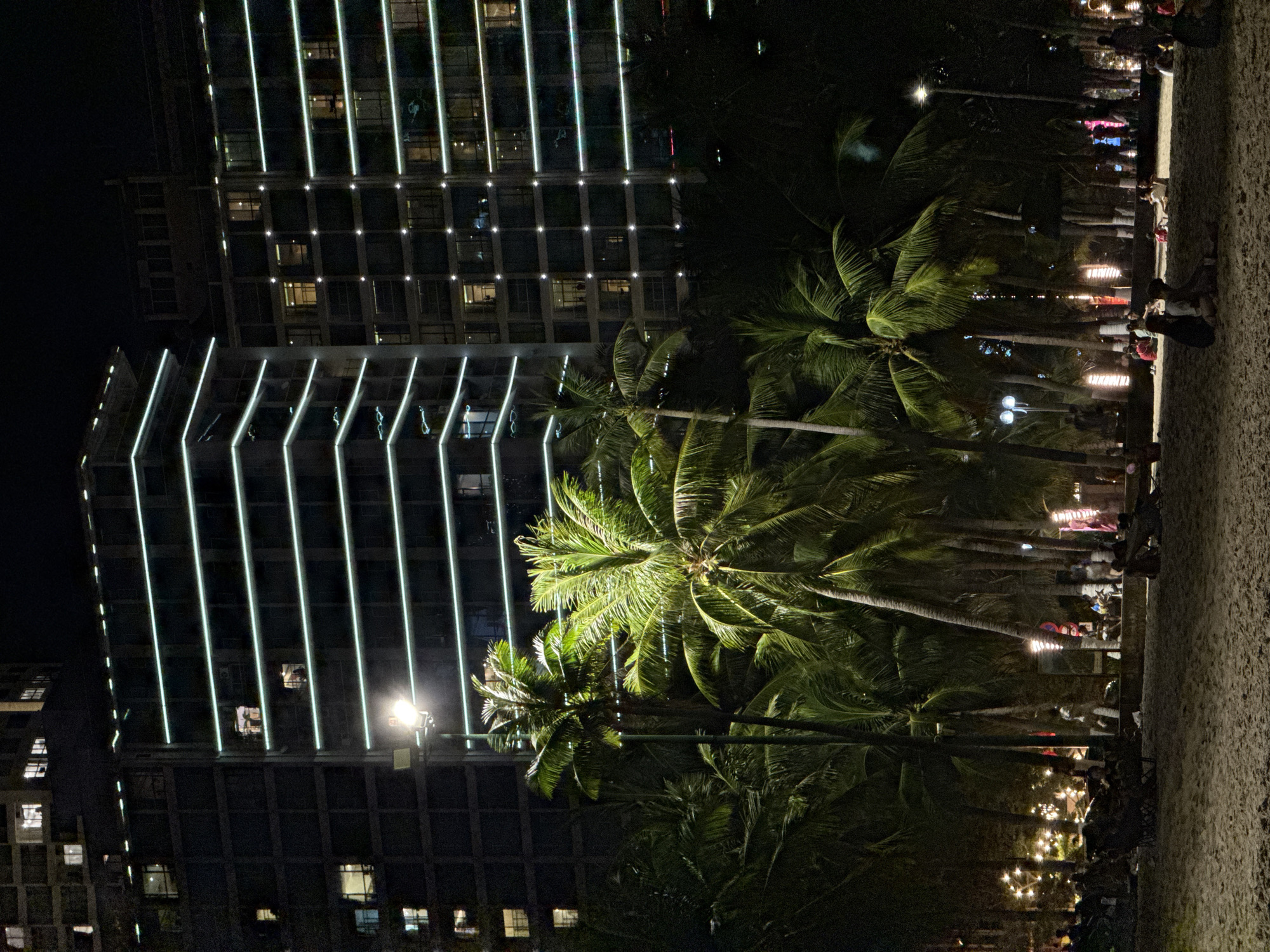 The image captures a nighttime scene in Nha Trang, Vietnam. The foreground is dominated by palm trees, with their fronds illuminated by streetlights, casting shadows on the sand. A crowd of people is gathered along the beach, possibly for an event or evening stroll. In the background, tall buildings are visible, adorned with vertical illuminated stripes, which contrast with the dark sky. The overall atmosphere is that of a vibrant, tropical city at night.
