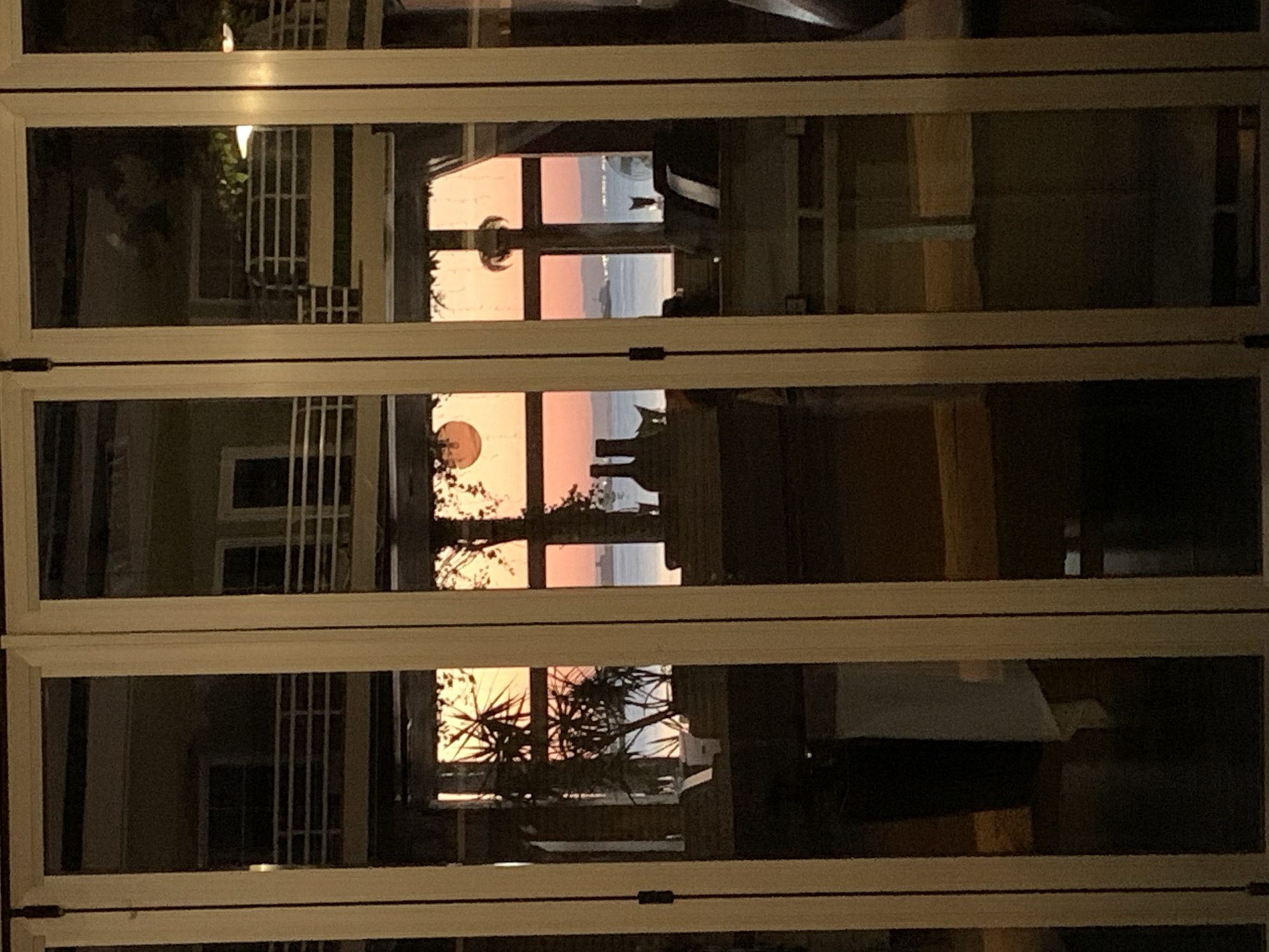 The image captures a view through a large, multi-panel glass door, likely from an indoor setting looking outwards. The scene is set at dusk, with a vibrant orange and pink sunset over a body of water, possibly the sea. Silhouettes of palm trees and other foliage are visible against the colorful sky, suggesting a warm climate. In the distance, a large ship is discernable on the water, adding to the maritime ambiance. Inside, the reflections on the glass indicate an interior space with furniture, including what appears to be tables and chairs, as well as decorative elements like vases or bottles. The overall atmosphere is tranquil and picturesque, hinting at a restaurant, bar, or residential setting with a scenic view. The location is identified as Palmanova, Spain, a coastal town known for its beaches and tourist amenities.