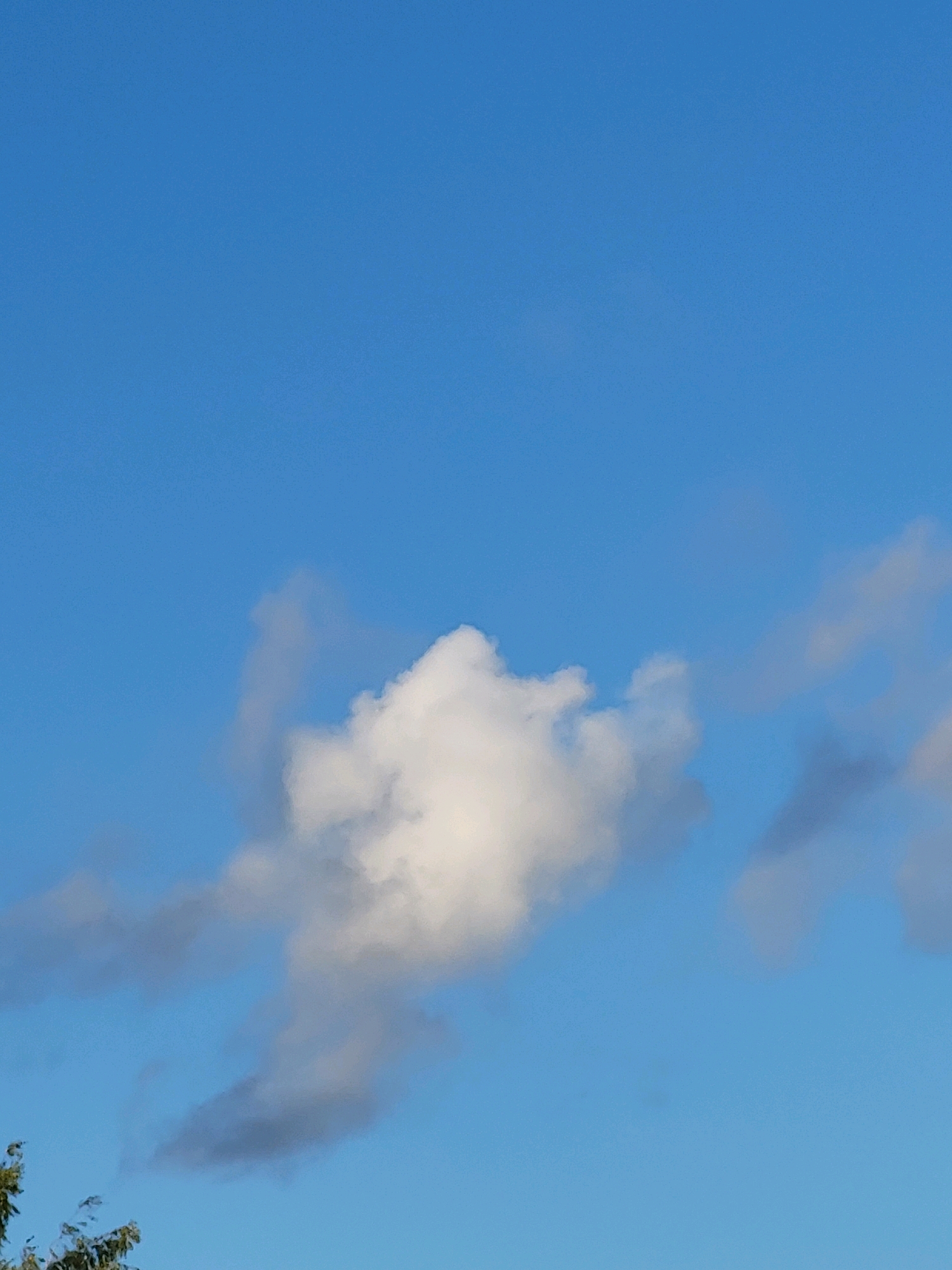 The image shows a clear blue sky with scattered white and gray clouds. In the foreground, the top of a green leafy tree is visible on the left side. The scene appears to be outdoors, likely in a rural or suburban setting given the presence of the tree and open sky. There are no people or specific objects that would indicate a particular city or urban environment. Without further context, it is impossible to determine the specific location within Ozolnieki, Latvia.