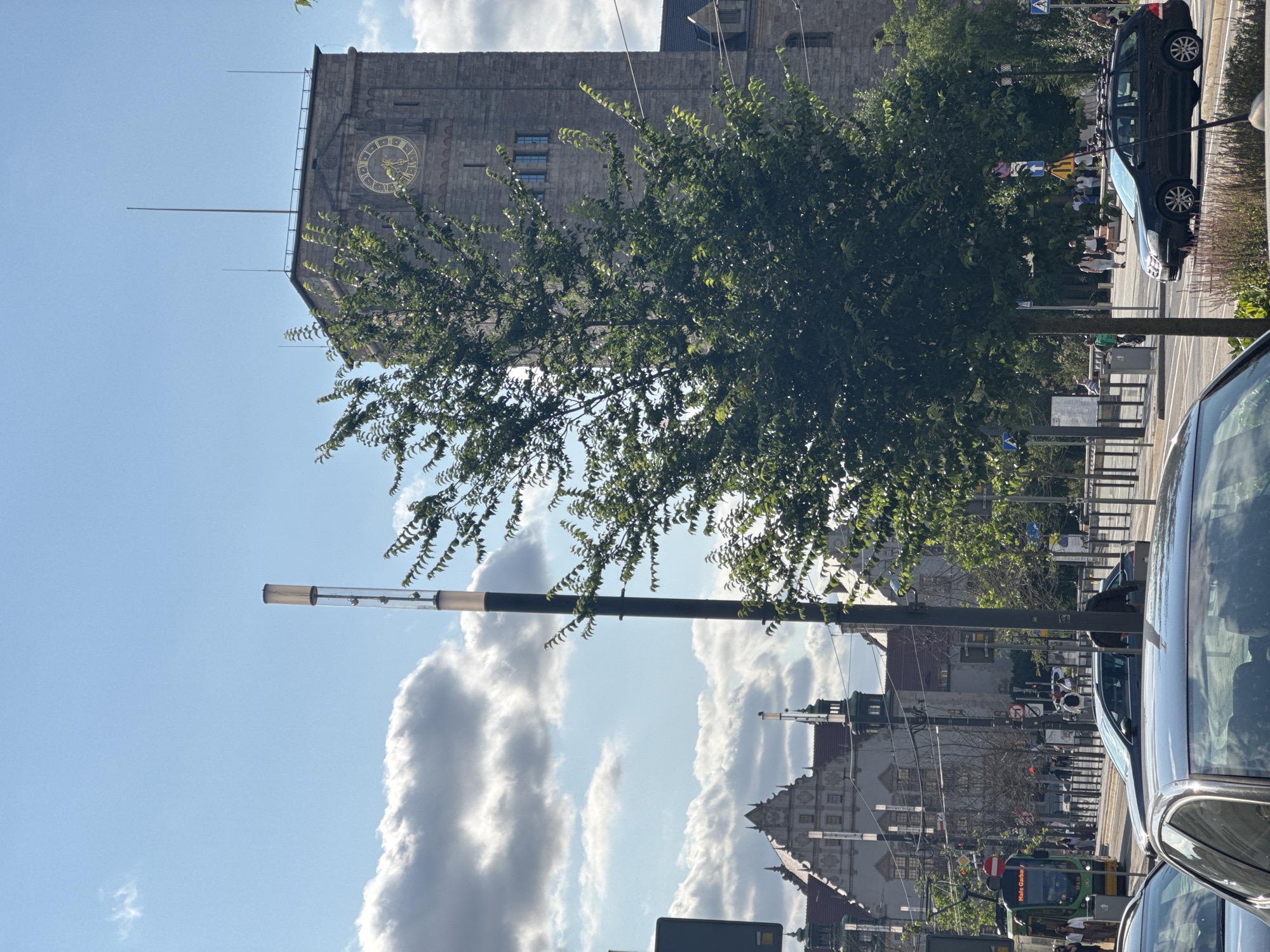 The image shows a street scene in Poznan, Poland, with a tram and cars on the road. In the background, a large stone building with a clock tower stands prominently. A leafy green tree partially obstructs the view of the building. The sky is blue with some clouds. Pedestrians can be seen walking on the sidewalk. Traffic lights and street lamps are also visible. The scene appears to be a sunny day in a city center.
