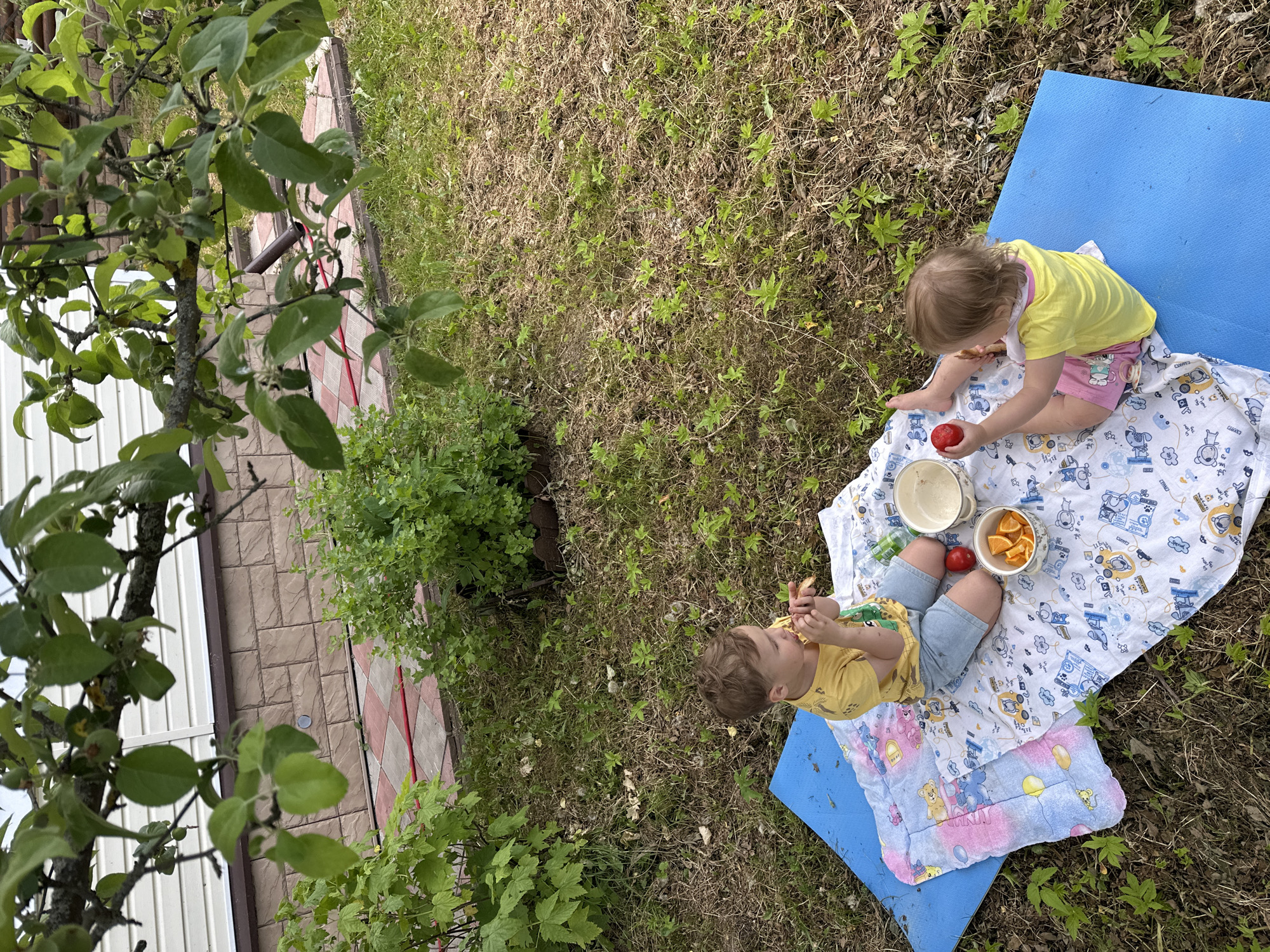 Two young children, a boy and a girl, are having a picnic on a blanket and a blue mat spread on a grassy area in a backyard. The boy, wearing a yellow t-shirt and blue shorts, is seated and eating something. The girl, in a yellow t-shirt and pink shorts, is also seated and holding a red object, possibly an apple, and eating. Scattered around them are bowls containing orange slices and a white bowl. The background shows a brick wall with a white siding structure above it, and lush green foliage from trees and bushes. This scene appears to be in the city of Nizhny Novgorod, Russia, given the context.