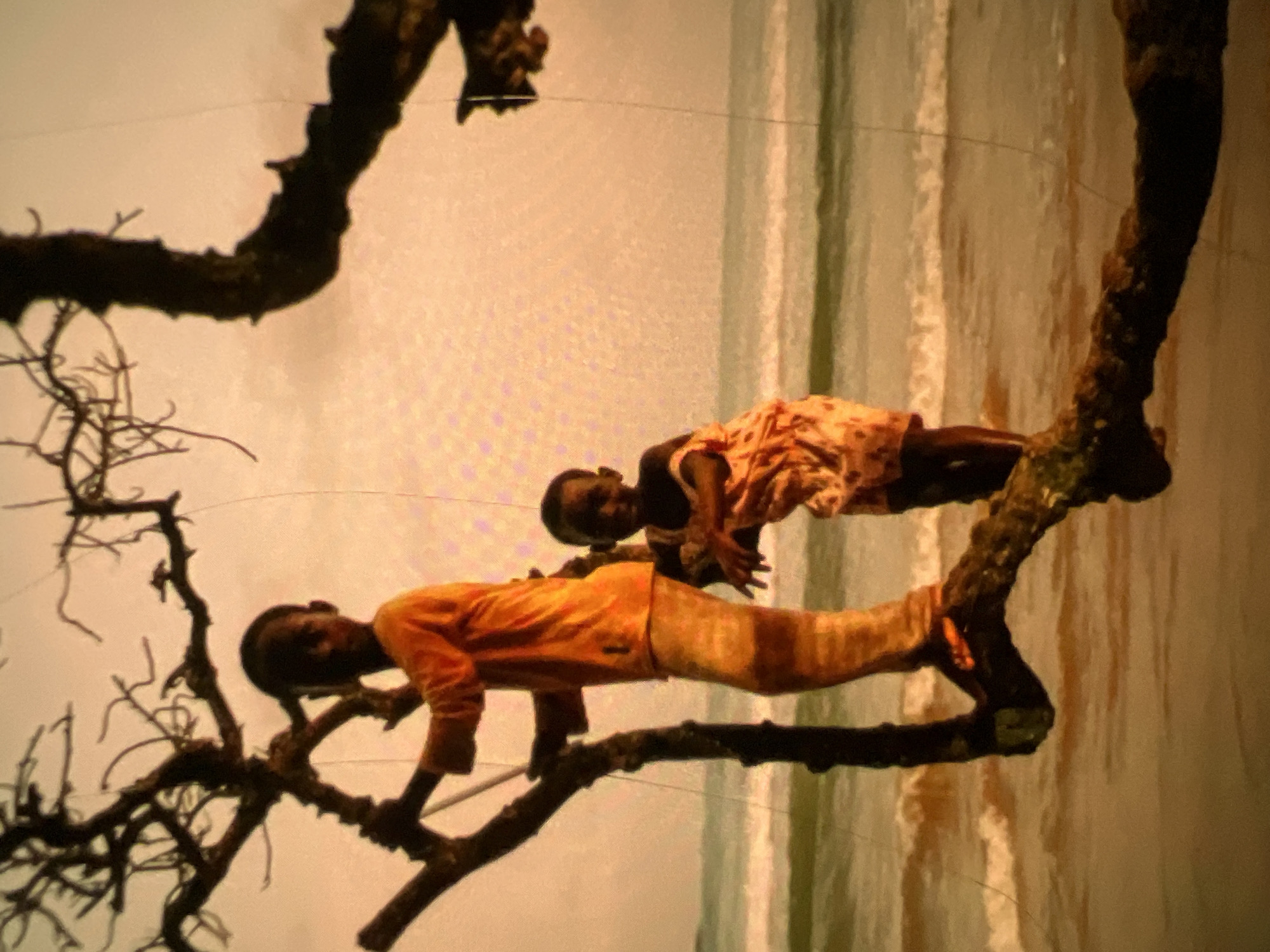 Two young children are positioned on the branch of a gnarled tree. The child on the left is wearing an orange shirt and patterned trousers, and is leaning against the tree trunk. The child on the right is wearing a patterned dress and is standing slightly in front of the other child. Both children appear to be looking at the camera. The tree branch extends over a beach, with the ocean and waves visible in the background. The sky is overcast with a warm, orange-tinged light. The scene is likely located on a beach in Lagos, Nigeria, given the warm climate and likely presence of such trees and coastal environments.