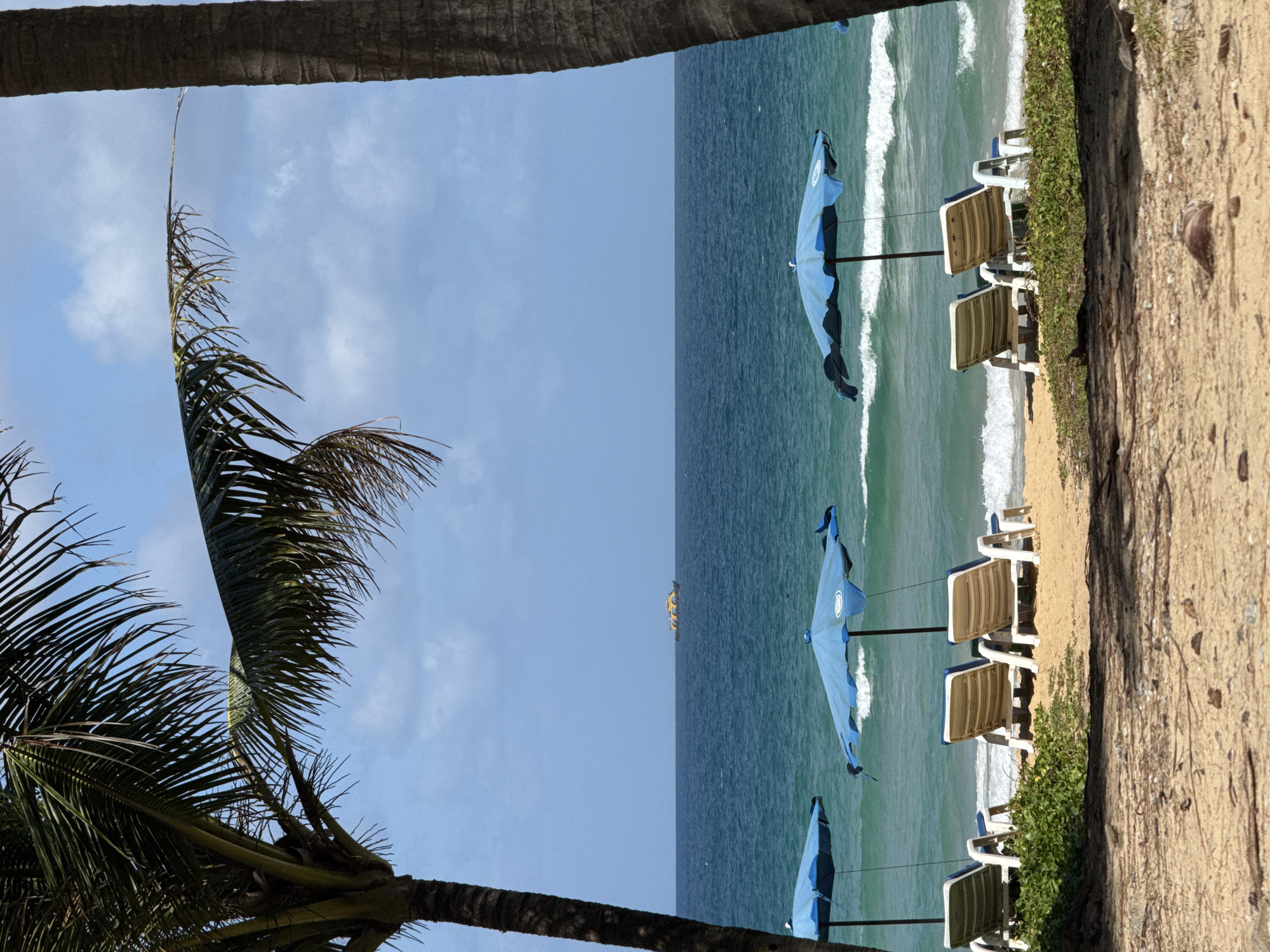 The image depicts a serene beach scene in Karon, Thailand. In the foreground, the sandy beach is partially covered by fallen palm fronds, with two palm trees framing the view. Beyond the sand, a line of four empty beach chairs with blue and white striped cushions sits beneath two open blue umbrellas. Lush green foliage borders the sand in front of the chairs. The ocean stretches out in the background, with gentle waves lapping at the shore and the water transitioning from turquoise near the beach to a deeper blue further out. On the horizon, a small yellow and grey vessel is visible. The sky is a clear blue with scattered white clouds.