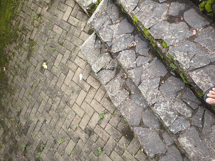 An overhead view depicts an outdoor pathway and stairs in Cimacan, Indonesia. The ground is diagonally split into two distinct paved sections. On the left, the path is covered with dark gray rectangular bricks arranged in a herringbone pattern. Moss and small green plants grow in the gaps between the bricks, with a few light-colored fallen leaves scattered on the surface. On the right, a set of stairs is visible, constructed from irregularly shaped, dark gray flagstones or broken concrete pieces. These steps also feature moss and small green plants thriving in their crevices, alongside some dried leaves. A human right foot, wearing a dark sandal, is positioned on the lowest step, indicating a person's presence. Diffused daylight suggests an overcast sky. There is no visible text in the image.