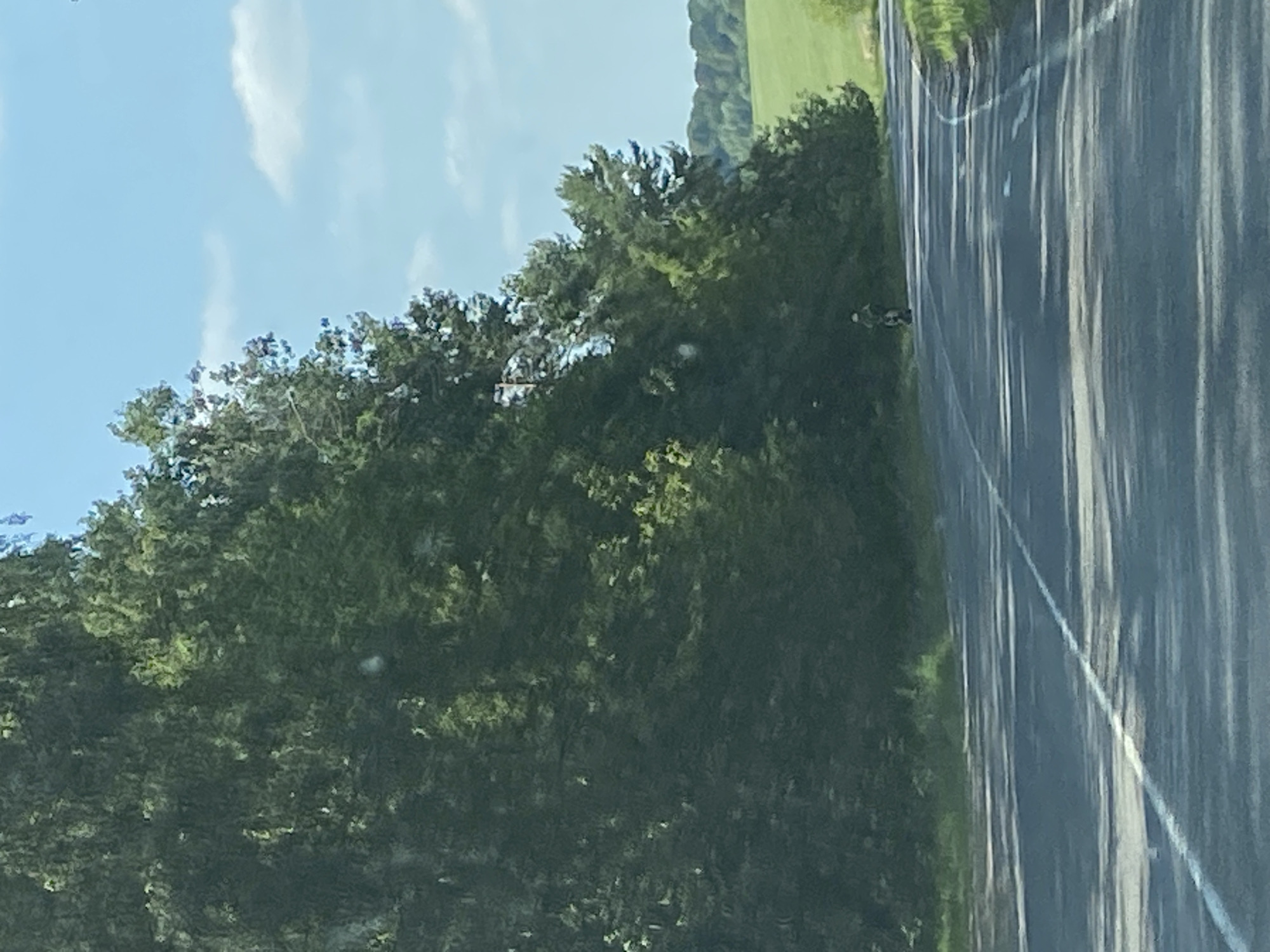 A paved road runs through a green, tree-lined landscape under a partly cloudy blue sky. A person on a scooter or electric unicycle is visible on the right side of the road, facing away from the camera and towards the distance. The road has white lane markings, and the trees form a dense border on the left side of the road, with lighter green fields visible in the background on the right. The scene appears to be a rural setting in Матыкальскі сельскі Савет, Belarus, possibly during daylight hours.