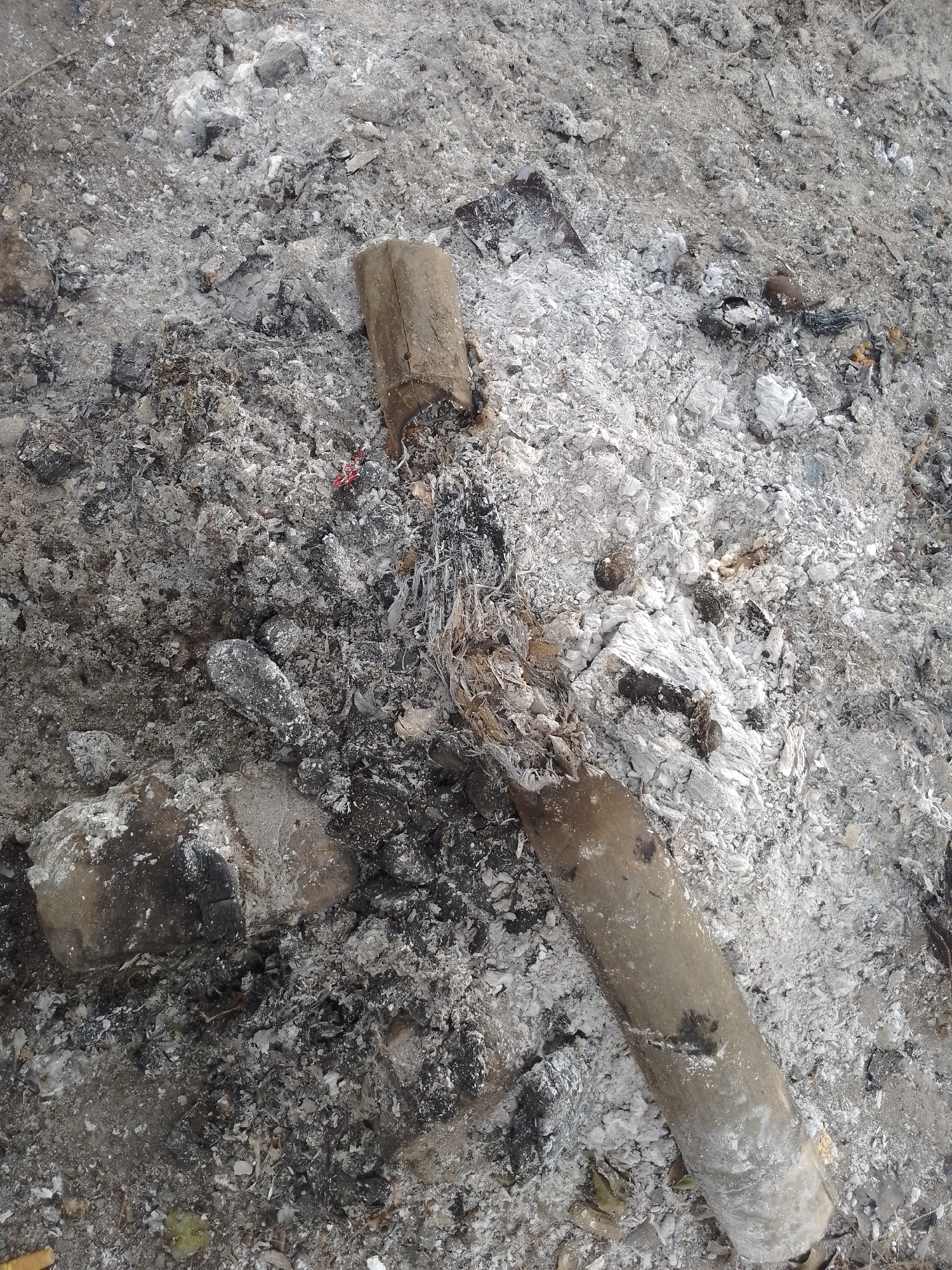 The image shows a pile of grey ash and charred remnants of what appear to be burnt cylindrical objects. These objects are made of a light brown material that has been exposed to fire, resulting in blackened and degraded surfaces. The ash is scattered broadly, with some larger chunks and smaller powdery particles. In the lower left, a partially burnt section of a similar cylindrical object is visible. The scene is outdoors, with a natural, somewhat rough texture to the ground beneath the ash. There are no people or animals present. The overall impression is of a site where something has been burned, possibly wood or a similar organic material. The provided context of "Kauman, Indonesia" suggests a potentially localized event within a community.