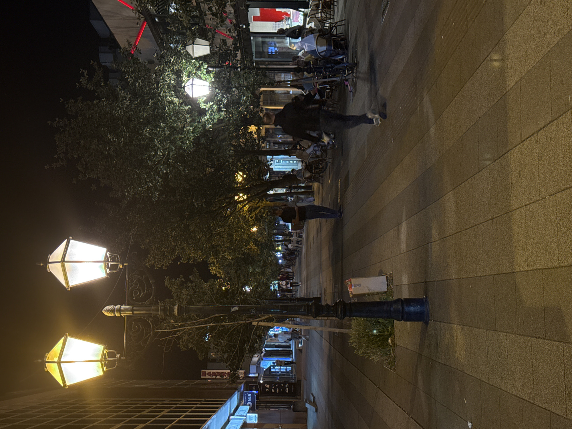 A street scene at night in Ilidža, Bosnia and Herzegovina, shows a pedestrian walkway lined with trees, lampposts, and businesses. The walkway is paved with stone tiles. On the left, buildings with illuminated storefronts are visible. On the right, outdoor seating areas for cafes or restaurants are set up, with patrons seated at tables. Several people are walking along the walkway. Two prominent lampposts with decorative bases and lanterns are in the foreground. The overall atmosphere is illuminated by artificial lighting from the lampposts and businesses, creating a warm glow.