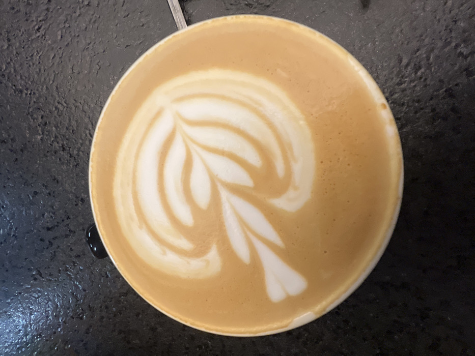A white ceramic cup containing a latte with an intricately poured fern or rosetta design in white frothed milk against a tan-brown coffee surface is depicted from a top-down perspective. The cup is situated on a dark, textured surface, likely a granite or stone countertop, visible around the cup's perimeter. A portion of a black handle is visible at the upper left edge of the cup, and a metallic object, consistent with a spoon handle, is partially visible along the right edge of the frame. This scene takes place in a coffee shop environment in León, Mexico.