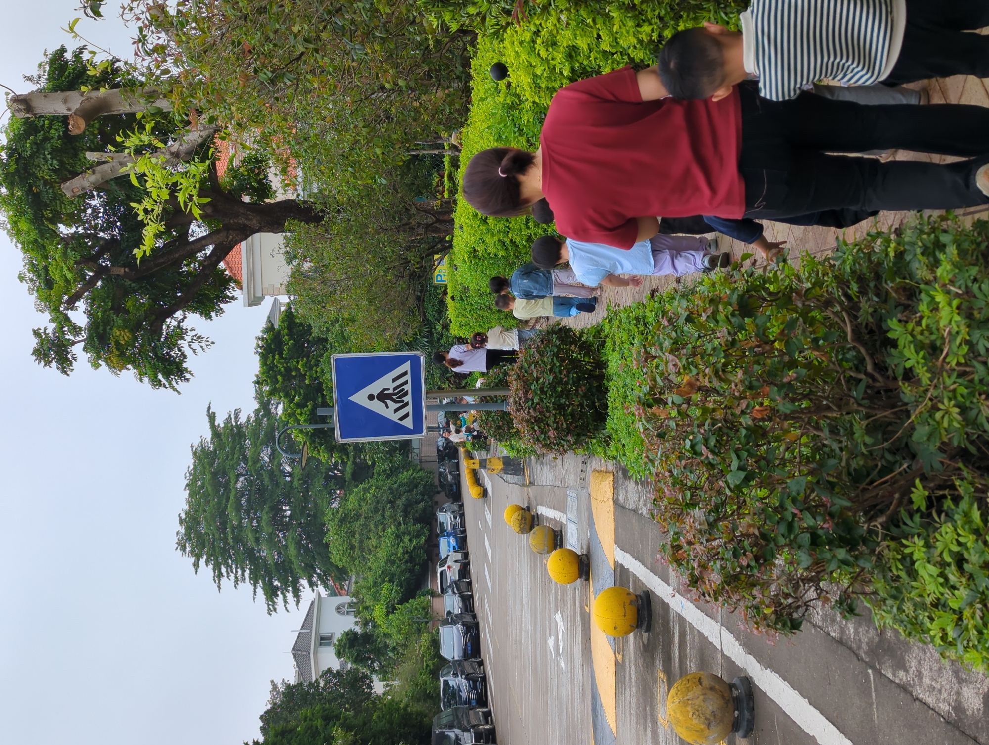 A low-angle, medium shot shows a paved street in the Shunde District of China. The street, bordered by a pedestrian walkway, is defined by yellow lines and punctuated by yellow spherical bollards. Parked cars line the opposite side of the street, obscured by trees. A blue pedestrian crossing sign stands next to the walkway. A group of children and at least one adult walk on the walkway, next to the shrubs. They appear to be walking across the crosswalk. The sky is overcast.