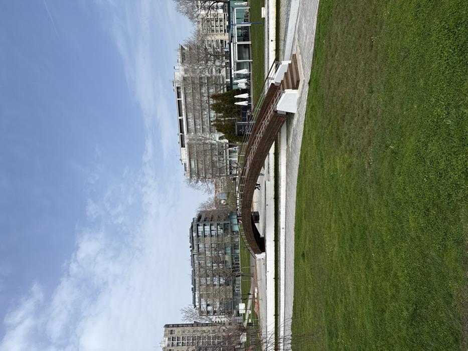 The scene depicts a public park in Aveiro, Portugal, specifically the Parque da Cidade de Aveiro, featuring the Ponte dos Laços (Bridge of Ribbons). The foreground consists of a wide expanse of manicured green grass. A light gray concrete pathway curves from the lower right towards a narrow canal, which is bordered by white concrete walls. Spanning this canal is a prominent pedestrian bridge constructed of dark brown wood, featuring an arched design, railings, and white concrete supports. Wooden steps are visible on the right side of the bridge, leading up to its deck.
Beyond the bridge, additional gray concrete pathways are present. Two indistinct human figures are observed walking across the bridge from left to right. Various bare deciduous trees are scattered throughout the park area, suggesting a late winter or early spring season. To the right of the bridge, an outdoor dining area is visible, equipped with multiple white patio umbrellas.
In the background, several multi-story urban buildings are present. On the far left, a tall, older-style concrete building stands. In the center-left, a modern multi-story building with dark-paneled facades and numerous windows is visible. To the right, another multi-story building with a lighter facade extends into the frame. The sky above is light blue with scattered, thin white clouds.