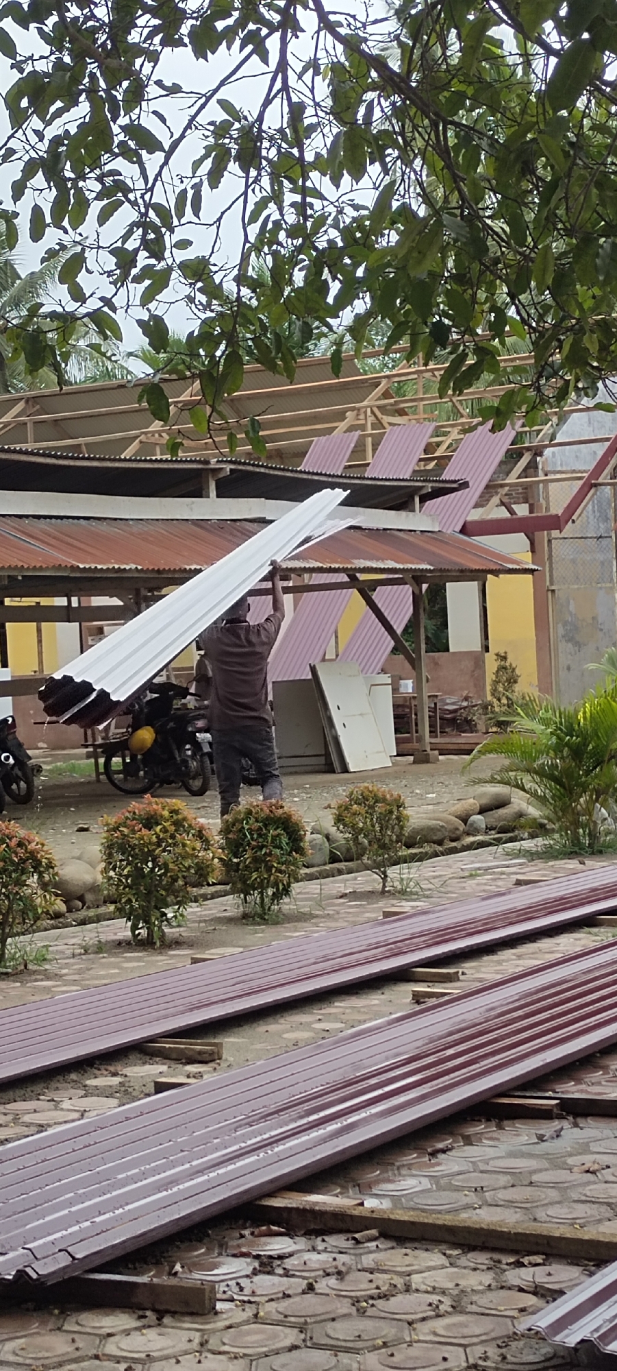 The image shows a man standing outdoors near a building under construction, presumably in Langnibong, Indonesia. The man is holding up several sheets of corrugated metal roofing material. Other similar sheets are lying on the ground in the foreground. In the background, the building's roof appears partially completed with both old rusted and new corrugated metal. There are motorcycles parked nearby, as well as some landscaping with shrubs and rocks. Overhead, tree branches with green leaves are visible. The ground appears to be paved with patterned hexagonal tiles.