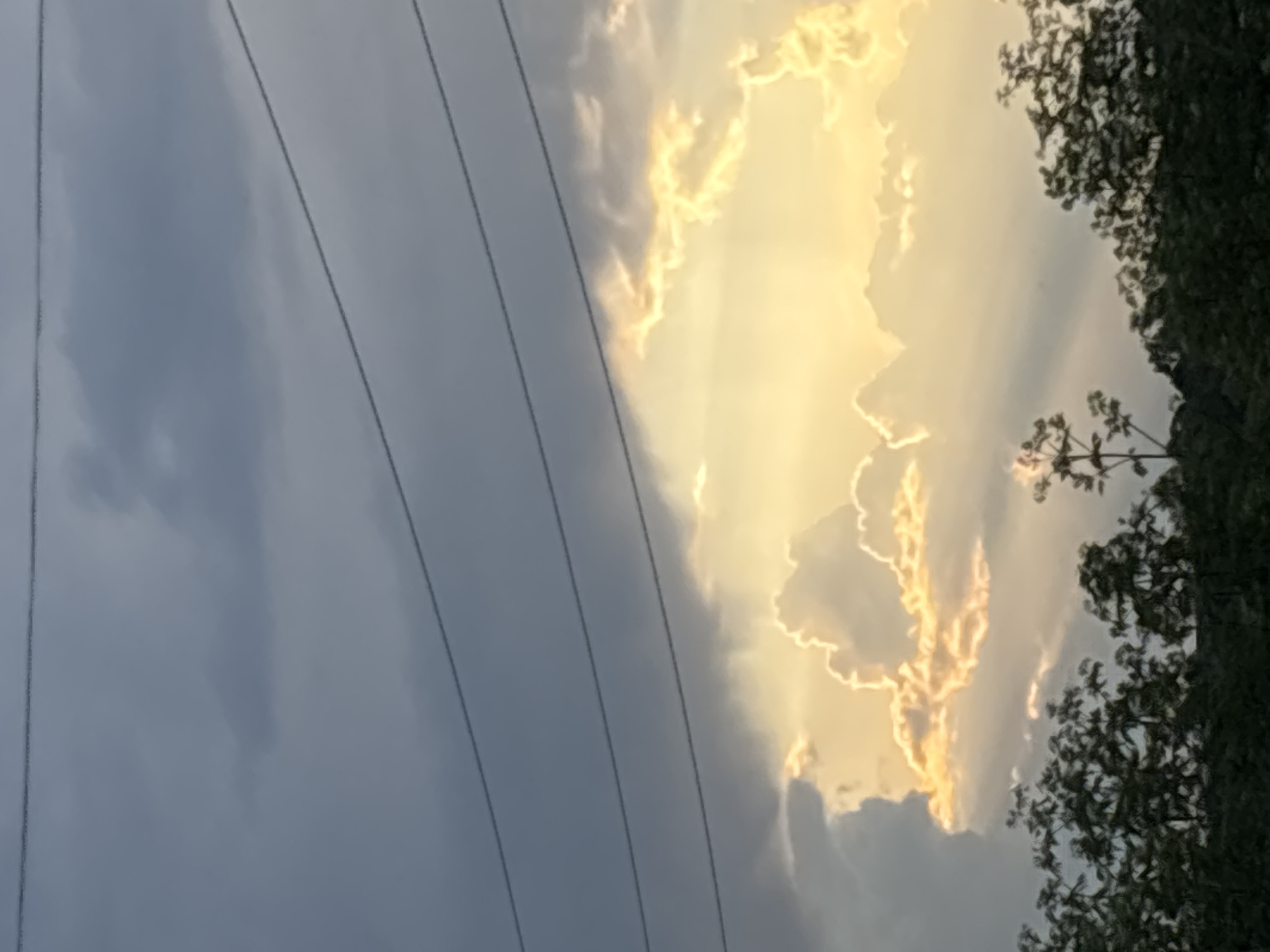 The image shows a cloudy sky with what appears to be electrical wires running across the left side. The sky is split into two distinct areas: a darker, grey area on the left and a brighter, yellow-tinted area on the right, suggesting the presence of sunlight. The right side also features some vegetation, possibly trees, visible against the sky. The location is Pchelnik, Bulgaria.