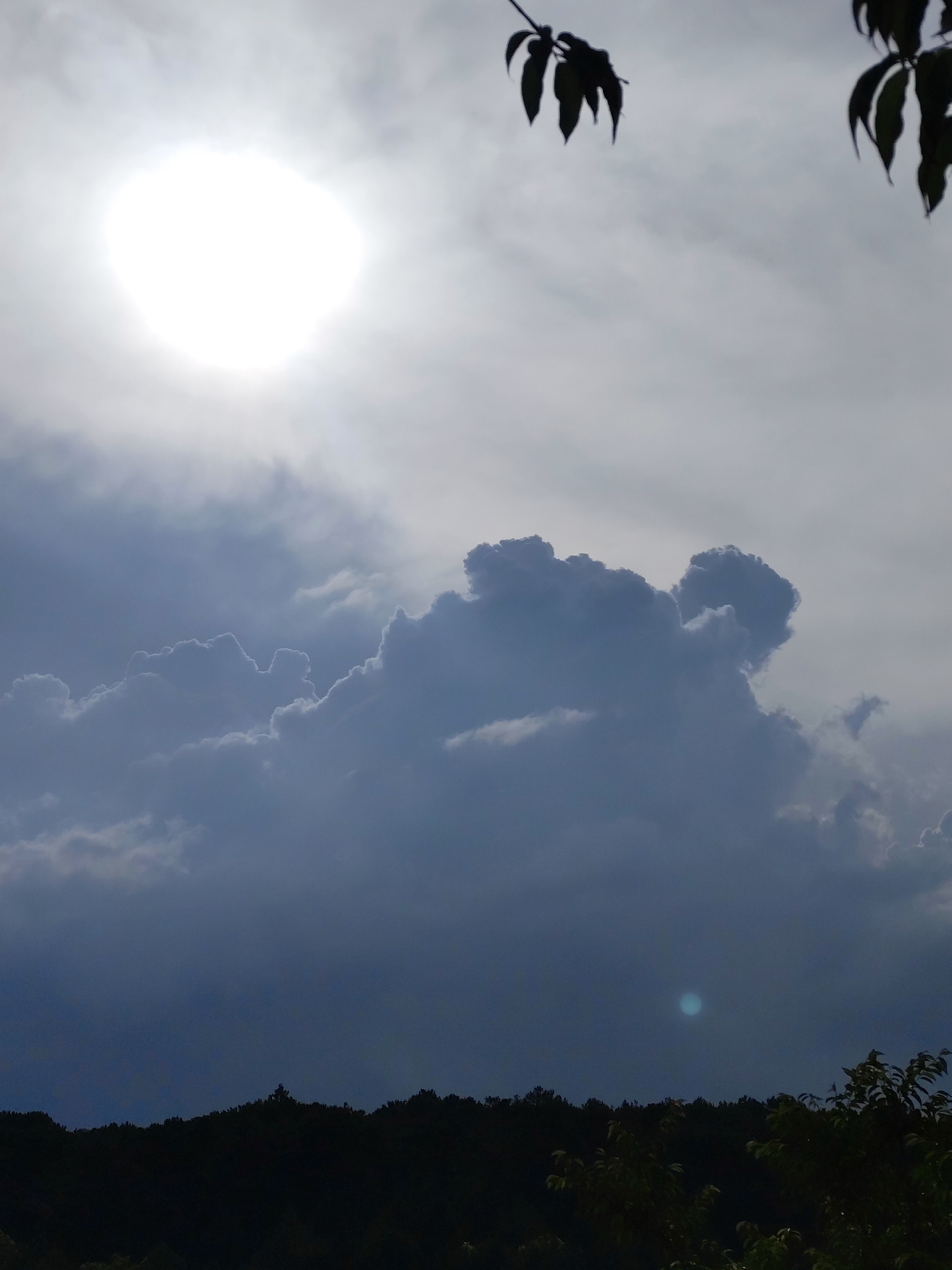 The image presents a cloudy sky with the sun appearing as a bright, diffuse orb at the top. Below the sun, large, gray clouds dominate the frame, displaying a textured, billowing appearance. At the bottom, a dark, silhouetted line of trees indicates a distant forest or hill. Some vegetation is visible in the bottom right corner, possibly tree branches or bushes. In the top right corner, there are blurry silhouetted leaves. The image appears to be taken during daylight, but the heavy cloud cover creates a somewhat somber or overcast atmosphere. Given the instructions, without additional information, a specific location in Da Lat, Vietnam cannot be provided from visual features alone.