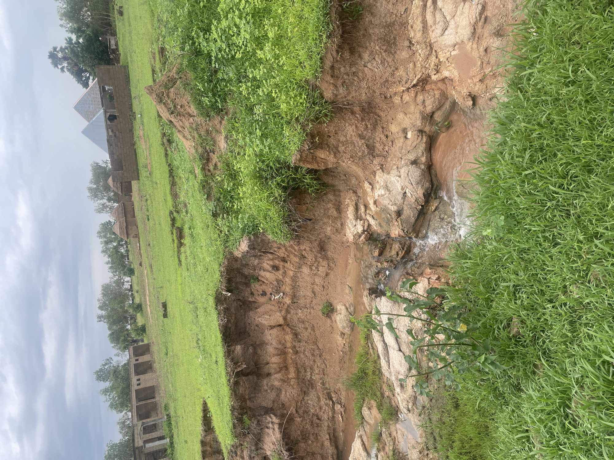 This image depicts an eroded riverbank with a shallow, muddy stream flowing over rocks. The banks are composed of reddish-brown soil, with a steep drop-off covered in lush green grass. In the background, several unfinished or abandoned buildings are visible on a grassy plain, some appearing to be constructed from brick and others from more traditional materials like mud and thatch. The sky is overcast with clouds. The scene is likely located in Jalingo, Nigeria, given the architectural styles and the natural environment. No people are present in the image.