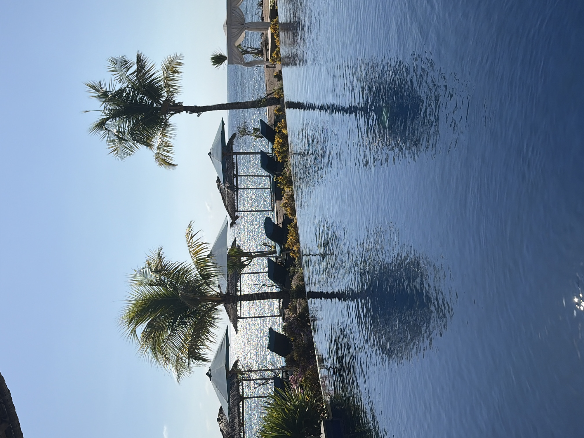 The image depicts an infinity pool overlooking a tranquil ocean under a clear blue sky. Palm trees and beach umbrellas dot the sandy shoreline, with lounge chairs arranged in front of them. In the distance, a white gazebo stands on the beach, suggesting a resort or hotel setting. The water in the pool reflects the sky and the surrounding scenery, creating a serene and idyllic atmosphere. This scene is consistent with the luxurious beachfront resorts found in Nusa Penida, Indonesia, a popular tourist destination known for its stunning ocean views and relaxing ambiance.