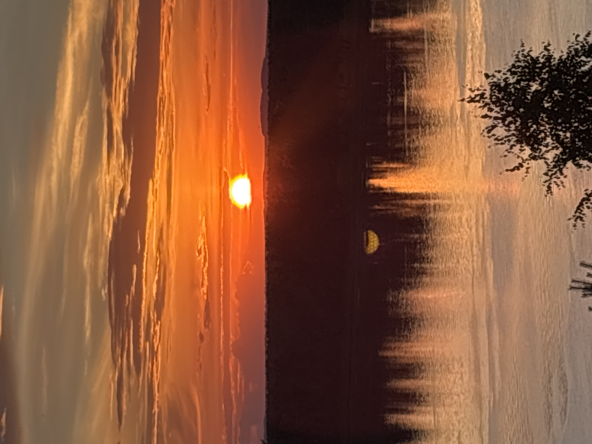 The image depicts a sunset over a body of water, likely a lake or river, in Olkhovka, Russia. The sun, a bright orange orb, is low on the horizon, casting a warm glow across the sky and reflecting on the water. Wispy clouds, illuminated by the setting sun, streak across the sky in shades of orange, yellow, and pink. The foreground is dominated by a dark silhouette of land, possibly a treeline or a gentle slope, which provides a stark contrast to the vibrant sky.
The water's surface is calm, with gentle ripples distorting the reflection of the sun and the sky, creating a textured, almost abstract pattern of light and shadow. On the right side of the image, the dark branches of a tree are visible against the brighter sky, adding depth and a touch of nature to the scene. The overall mood is serene and peaceful, evoking the quiet beauty of a rural sunset. The time of day is clearly evening, as indicated by the sunset. The weather appears clear with some cloud cover, ideal for observing a sunset. There are no visible people or text in the image.