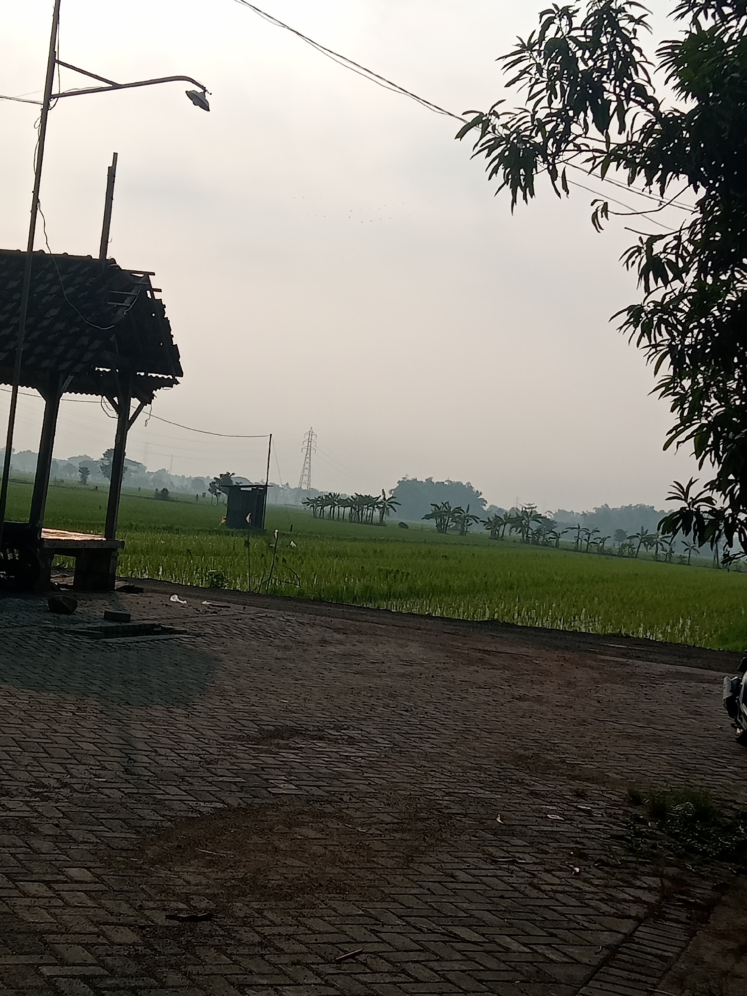 The image shows a rural scene near Bungur, Indonesia. A small, open-sided shelter with a tiled roof stands to the left. A road paved with dark bricks runs across the foreground. Beyond the road is a green rice paddy field with a line of banana trees and other vegetation in the distance. An electrical transmission tower is visible in the background. Power lines stretch across the sky. A large tree with dark foliage is on the right side of the frame, partially obscuring the view. The sky is overcast and hazy.