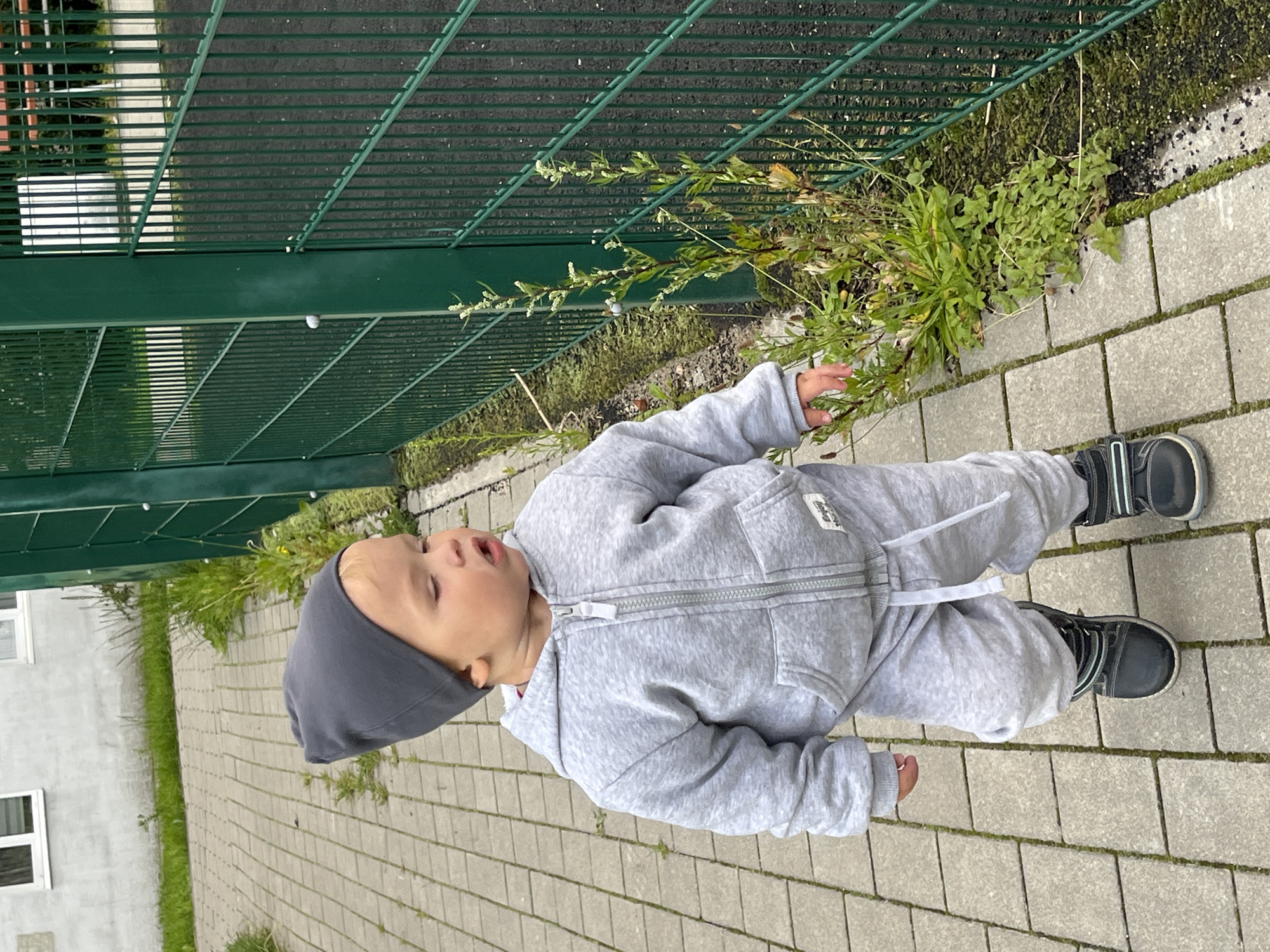 An outdoor full-shot image shows a toddler walking on a paved pathway adjacent to a green metal fence. The toddler, wearing a grey knit cap and a grey sweatsuit, is facing right and looking downwards at a patch of weeds growing between the pathway and the fence. The pathway is made of rectangular concrete pavers. Behind the toddler, a light-colored building with white-framed windows is visible. The scene appears to be in the city of Pionersky, Russia, likely a park or playground area. The overall lighting suggests it is daytime.
