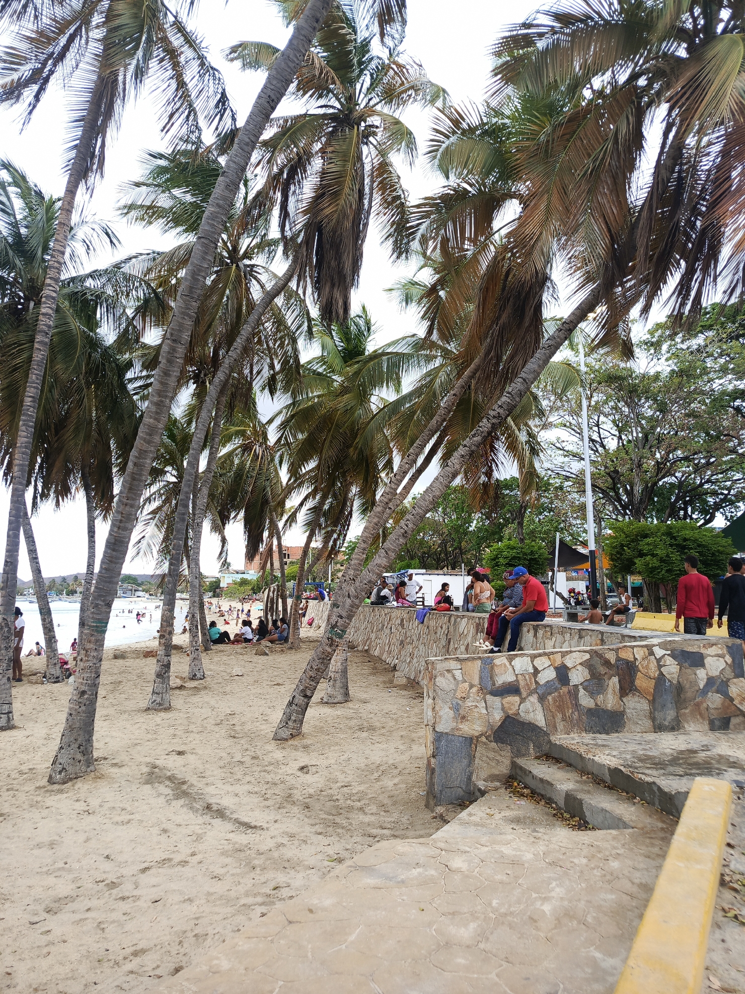 This detailed description pertains to an image captured in Juan Griego, Venezuela, depicting a lively beach scene under an overcast sky.
The image is dominated by numerous tall palm trees with grey, ringed trunks and green-to-brown fronds, many leaning towards the center. These trees line the sandy beach, extending from the foreground into the mid-ground, their crowns obscuring much of the sky. The sand is light-colored and shows minor undulations and faint footprints.
In the mid-ground on the left, a body of calm, light blue-grey water is visible, where several small boats are anchored. Along the water's edge and further up the beach, numerous people are scattered, some standing, some sitting in small groups on the sand, and some partially submerged in the water. Their attire is casual and typical for a beach environment, though specific details are indistinct due to distance.
On the right side of the image, running roughly parallel to the beach, is a low stone wall constructed from irregularly shaped, multi-colored stones (grays, browns, rust, off-white). Several individuals are seated on this wall. Prominently, a man in a red shirt and blue cap is seated facing left, conversing with another person. Further along the wall, other people are also seated or standing. Beyond the wall, a concrete or paved walkway with a repeating, irregular polygonal pattern is visible, particularly in the immediate foreground on the right. Concrete steps with some fallen dry leaves descend from this paved area to the sand level, adjacent to the stone wall. A yellow rectangular barrier is partially visible in the bottom right corner of the frame.
Behind the stone wall and paved area, a cluster of green trees and bushes forms a dense backdrop, with a tall, slender white pole standing upright within this vegetation. In the distant background, various low-rise buildings with light-colored walls and some visible rebar indicate urban development near the coast. The sky above is uniformly bright white-grey, suggesting an overcast day with diffused lighting.