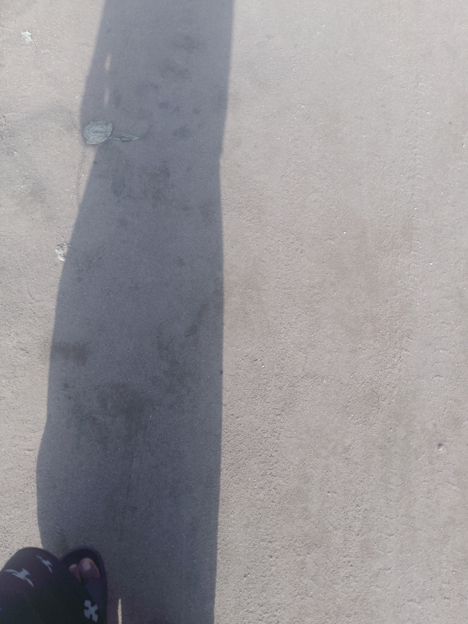 The image shows a close-up view of a sandy or concrete ground surface with a distinct shadow cast across it. The shadow is elongated and appears to be from a person or object standing to the left. A foot wearing a dark sandal with white markings is visible at the bottom left corner, partially within the shadow. There is also a small, light-colored object, possibly debris or a shell, located in the upper left portion of the image, outside the shadow. The lighting suggests it is daytime, with the sun positioned to create a strong shadow. The environment is an outdoor ground surface, the specific urban context of "Unknown, Unknown" is not visually discernible from the image itself.