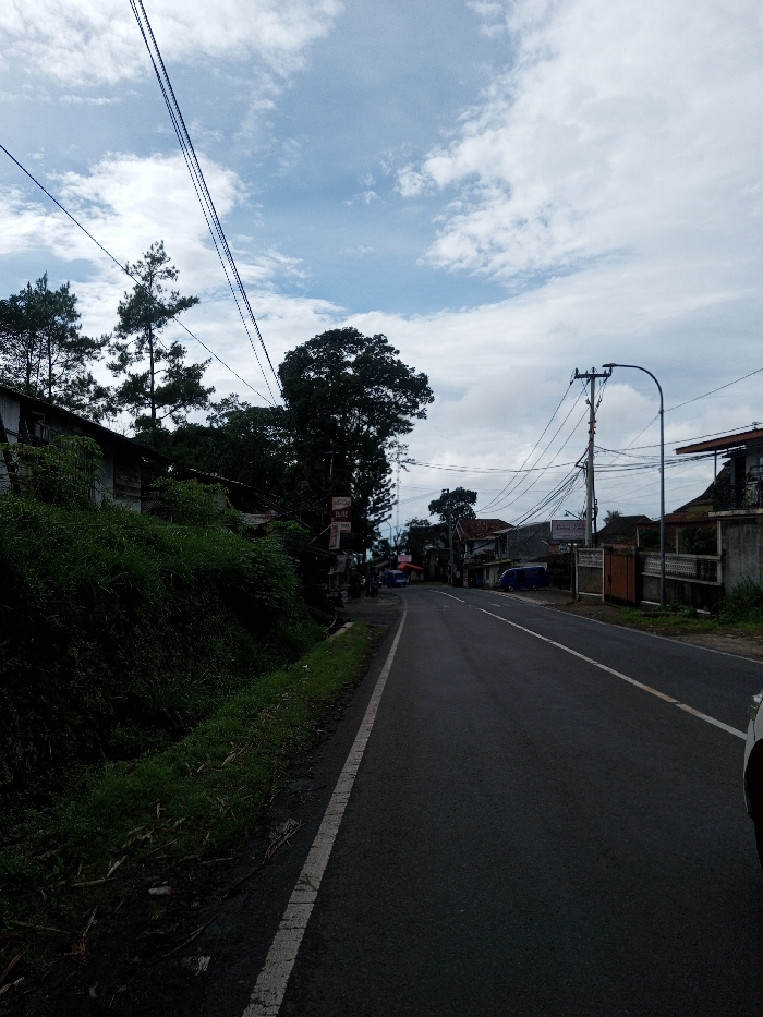The image presents a static street scene captured in Domphoog_Dungkarchhoeling, Bhutan, under a partially cloudy sky. A dark gray asphalt road, marked with a solid white line along its right edge and a broken white line further left, extends into the distance, ascending slightly and curving gently to the left. No individuals or active vehicles are discernible within the frame.
On the left side of the road, a steep embankment covered in dense, dark green foliage occupies the foreground and midground. Behind this vegetation, several older, weathered structures are partially visible, interspersed with tall, slender conifer trees. Further along the left, a rectangular vertical sign with dark text on a lighter background displays "D'COKLAT" and "ELITE TIRE." Numerous black utility wires are strung overhead, crossing the sky.
On the right side of the road, a portion of the front right quarter panel of a white vehicle is visible in the immediate foreground. Beyond this, a light-colored residential-style building with a dark roof is situated behind a concrete wall. A prominent utility pole, heavily entangled with black wires, stands near the roadside, supporting an L-shaped streetlight arm that projects over the road. Further down, another partially obscured sign is present, and two light-colored vans are visible parked along the roadside. The sky features areas of blue interspersed with scattered white cumulus clouds.