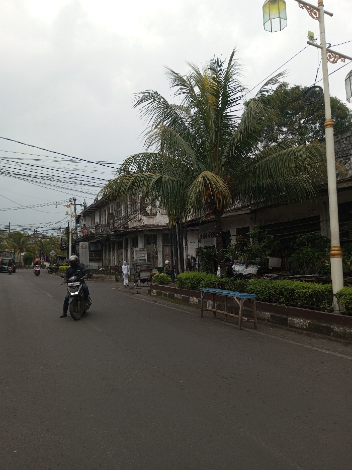 A street scene features a motorbike riding on asphalt. A weathered two-story building with balconies runs along the right side. Palm trees and lush greenery are interspersed between the building and the road. A light pole with vintage lanterns stands tall. Pedestrians and parked vehicles are visible in the background. The sky is overcast, creating soft, diffused light. The overall composition conveys a sense of urban life in a tropical setting.