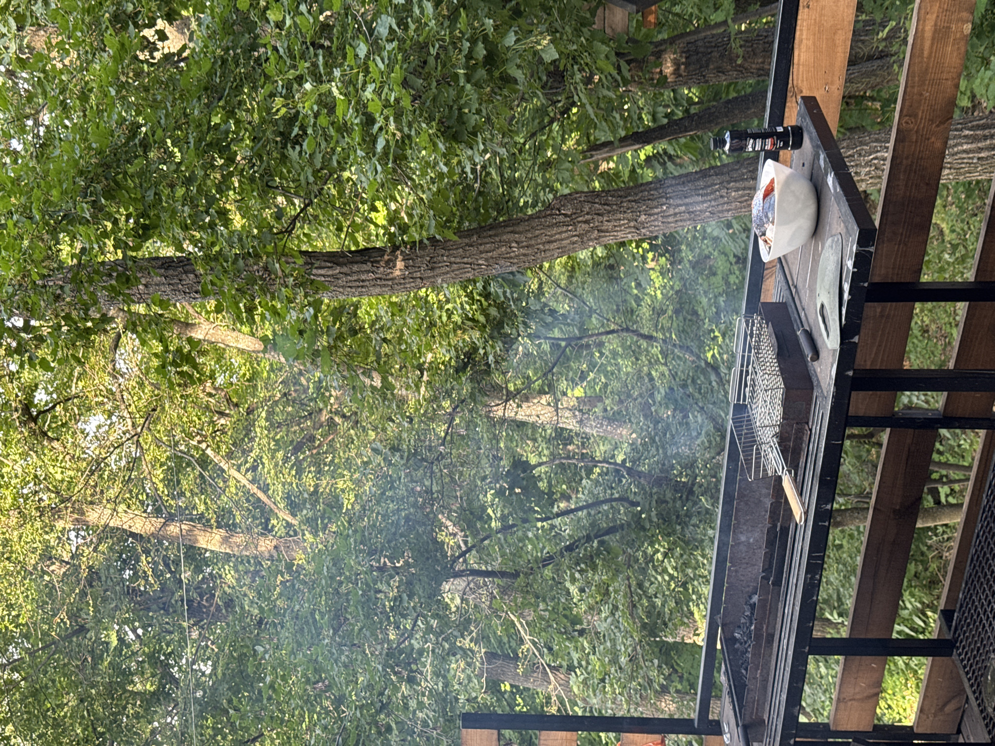 The image depicts an outdoor scene with a grill. The grill is positioned on a wooden structure, and there is smoke rising from it, indicating it is in use. On the grill's surface, there is a white bowl containing food, possibly fish, along with a bottle of seasoning or sauce. A metal grilling basket is also visible.
The setting appears to be a wooded area, with numerous trees and lush green foliage filling the background. The sunlight suggests it is daytime, possibly late afternoon or early evening, given the warm tones and shadows. The overall atmosphere is relaxed and suggests an outdoor cooking or dining event.
There is no visible text in the image. The location is identified as Ust-Kurdyum, Russia, which aligns with the natural, outdoor setting.