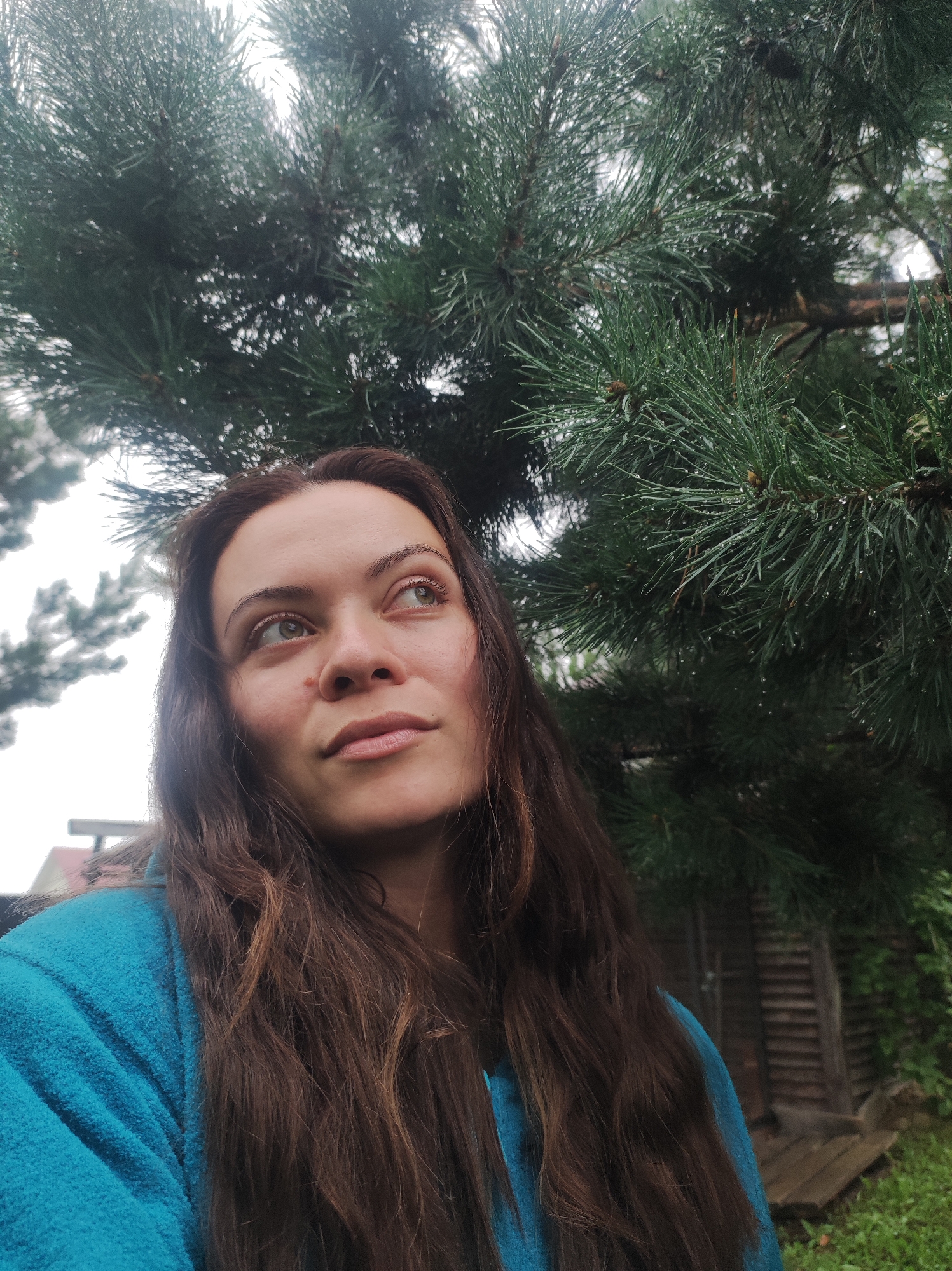 A medium shot shows a woman with long, brown hair and a blue fleece jacket, looking up and to the right. She has fair skin and light brown eyes. She appears to be outdoors, with pine tree branches and needles framing the top of the image. Water droplets are visible on the pine needles. In the background, a wooden structure resembling a shed or outhouse can be seen, along with green grass and foliage. The sky appears overcast. The scene is likely located in or near the city of Fokinskoye, Russia, given the presence of coniferous trees and wooden structures.