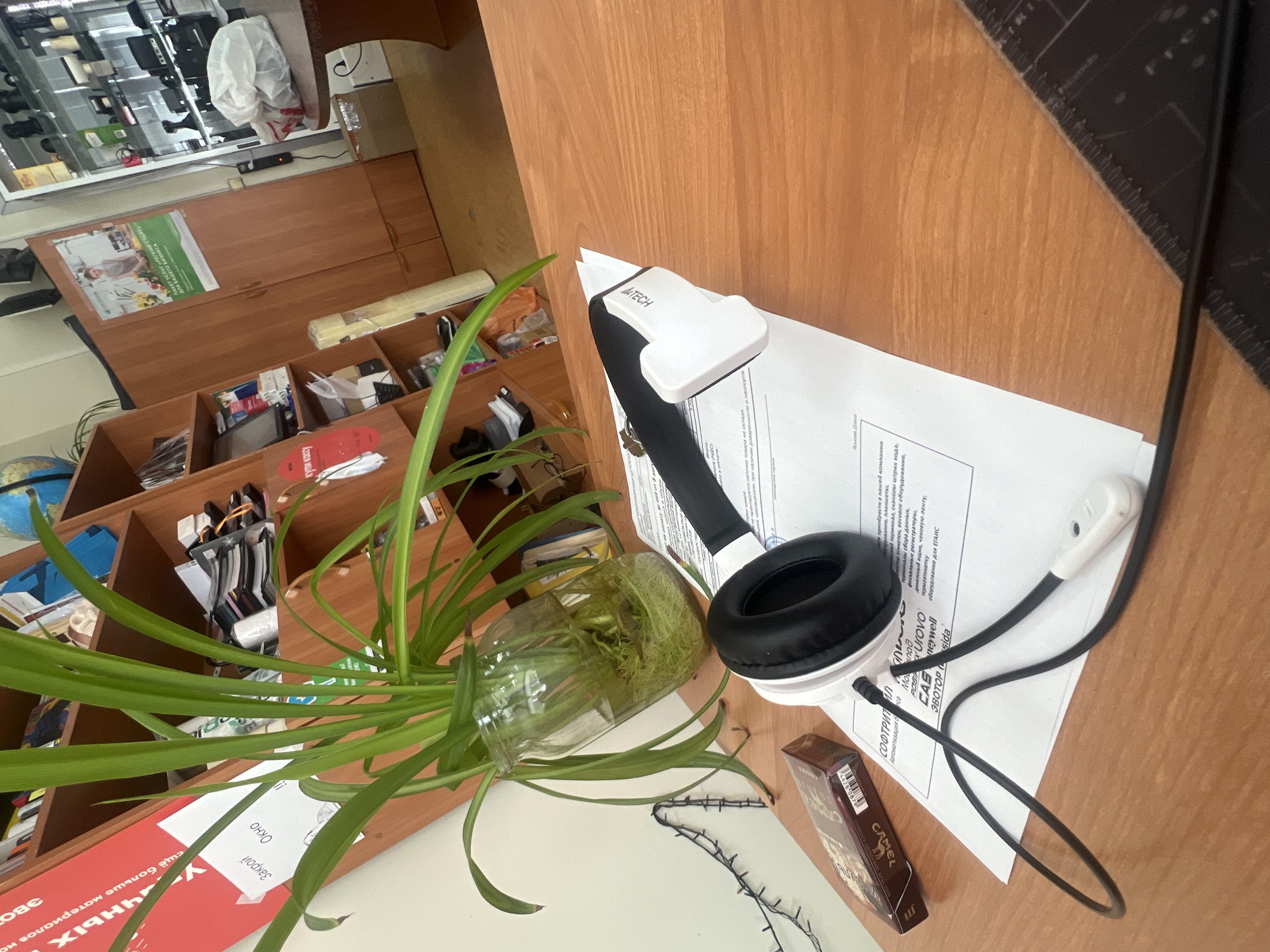 An interior shot shows a desk with various items, including headphones, a pack of cigarettes, and a potted plant. In the background, a bookshelf is filled with books and other assorted items. The overall scene suggests an office or a study space. The specific location within the city of Omsk, Russia, cannot be determined from the image.