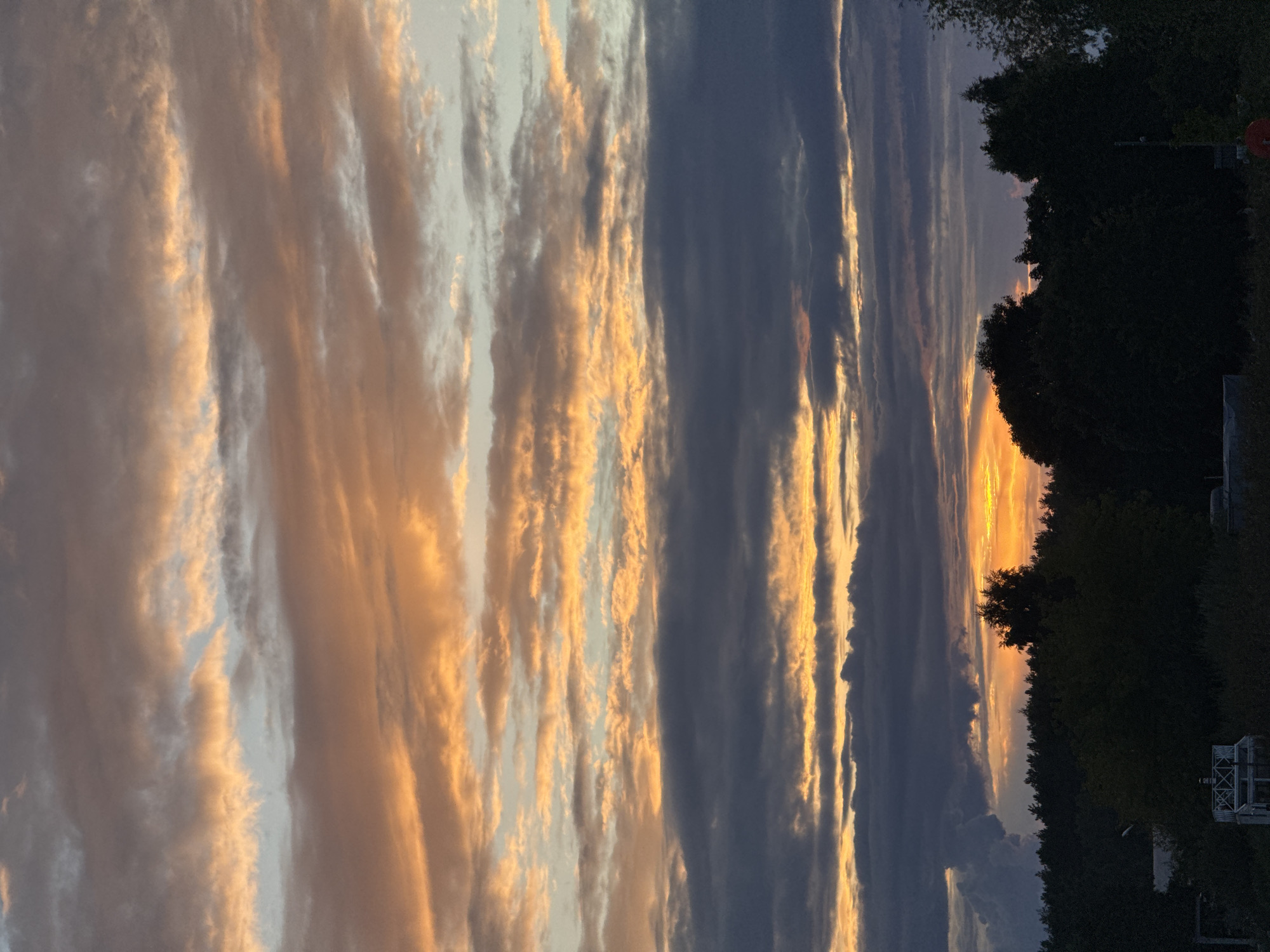 The image captures a dramatic sunset over a forested area in Carnikava, Latvia. The sky is filled with layers of clouds painted in hues of orange, yellow, and gray. The sun, low on the horizon, casts a warm glow through the clouds, illuminating their undersides with vibrant colors. A dense line of dark green trees forms the silhouette of the forest against the bright sky. In the foreground, obscured by the low light, are glimpses of structures and foliage, hinting at a rural or suburban edge to the forest. The scene is tranquil, dominated by the natural spectacle of the setting sun.